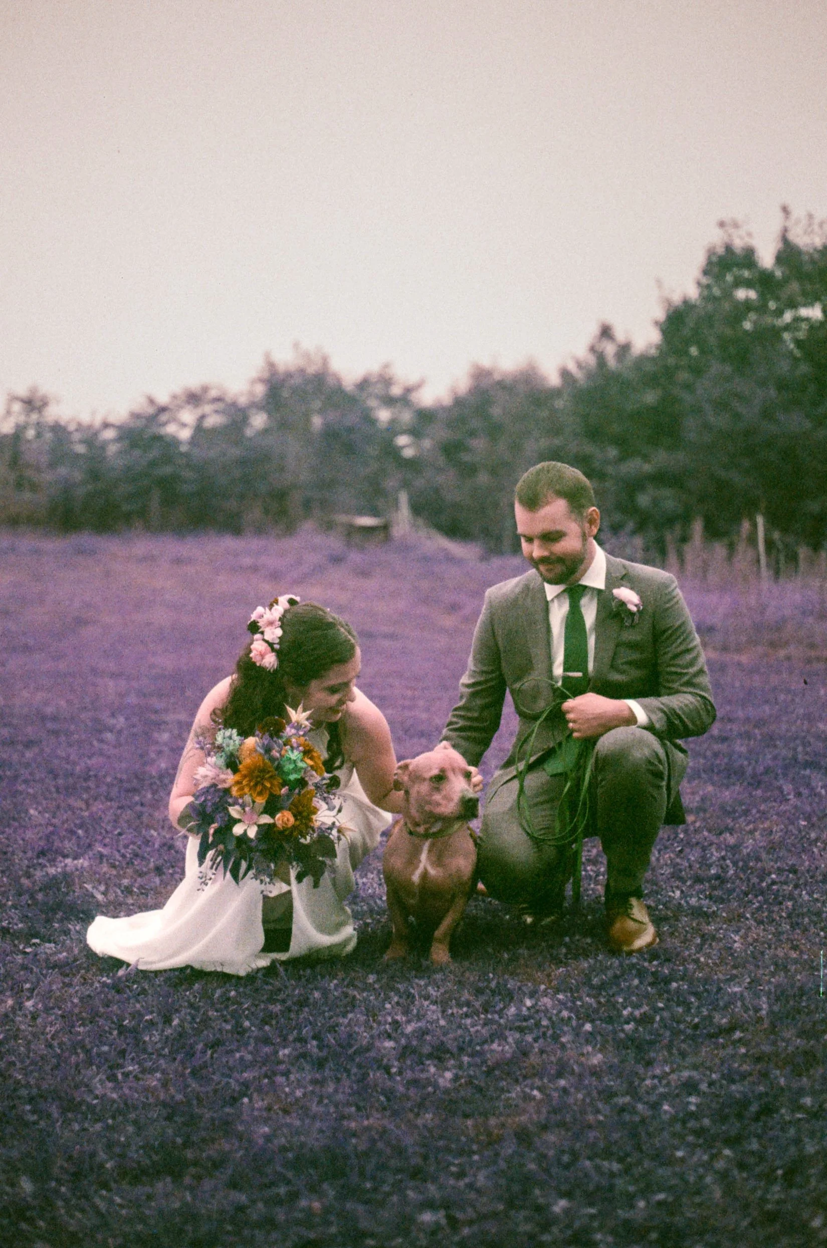 A bride and groom and their dog kneeling in a lavender field, smiling at each other.
