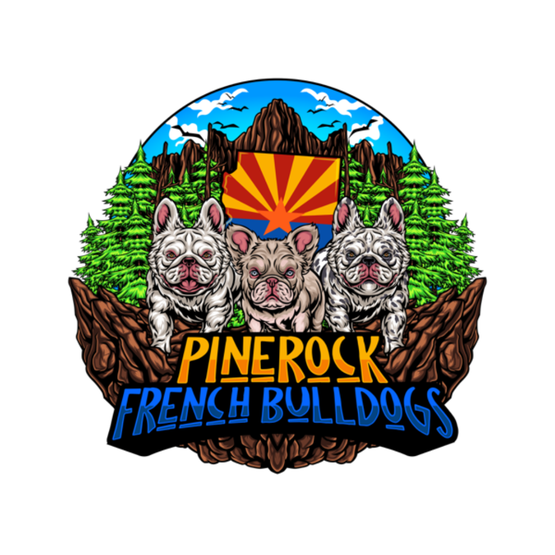 Pinerock French Bulldogs - Jill Kipnes.png