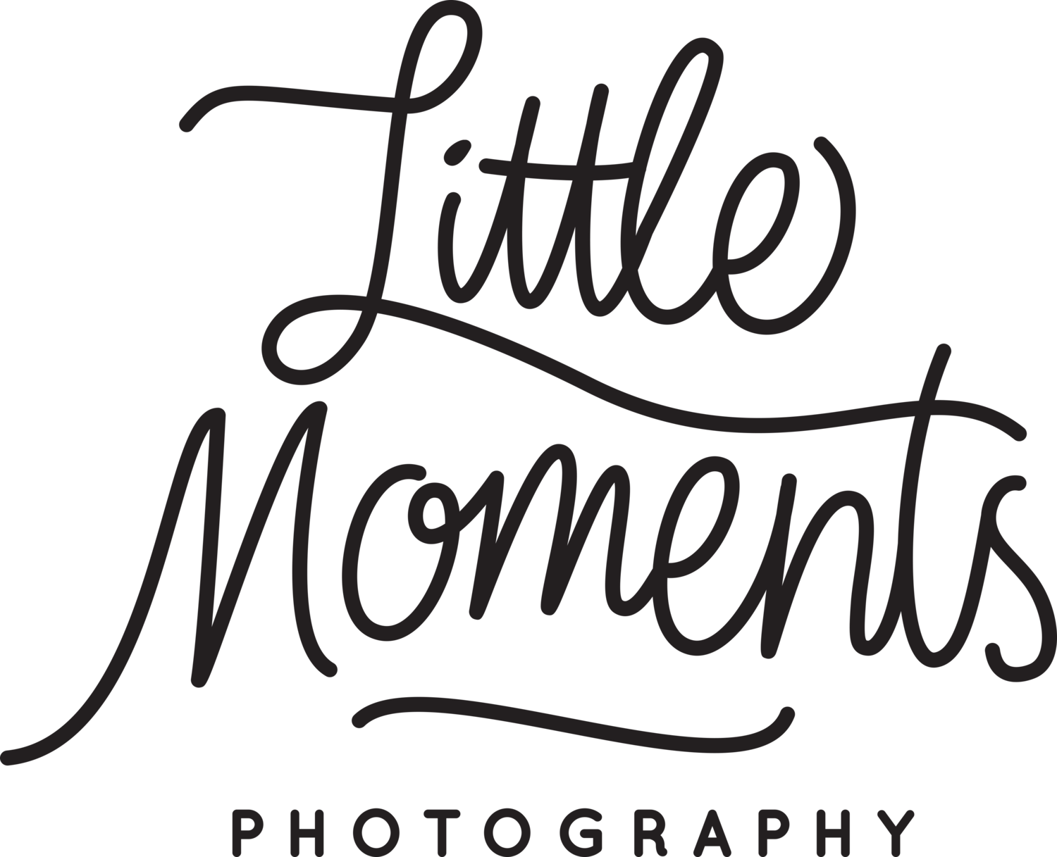 Little Moments Photography