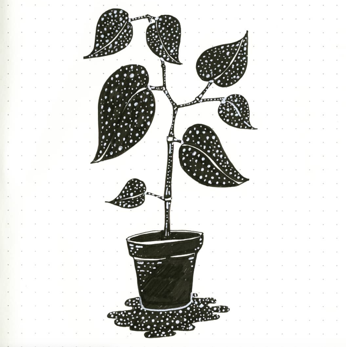 Screen Shot 2019-12-02 at 11.55.17 PM.png