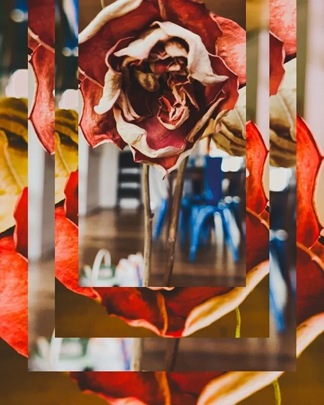 🥀
_
#bego #begocreative #colortherapy #homedecor #cmyk #driedflowers