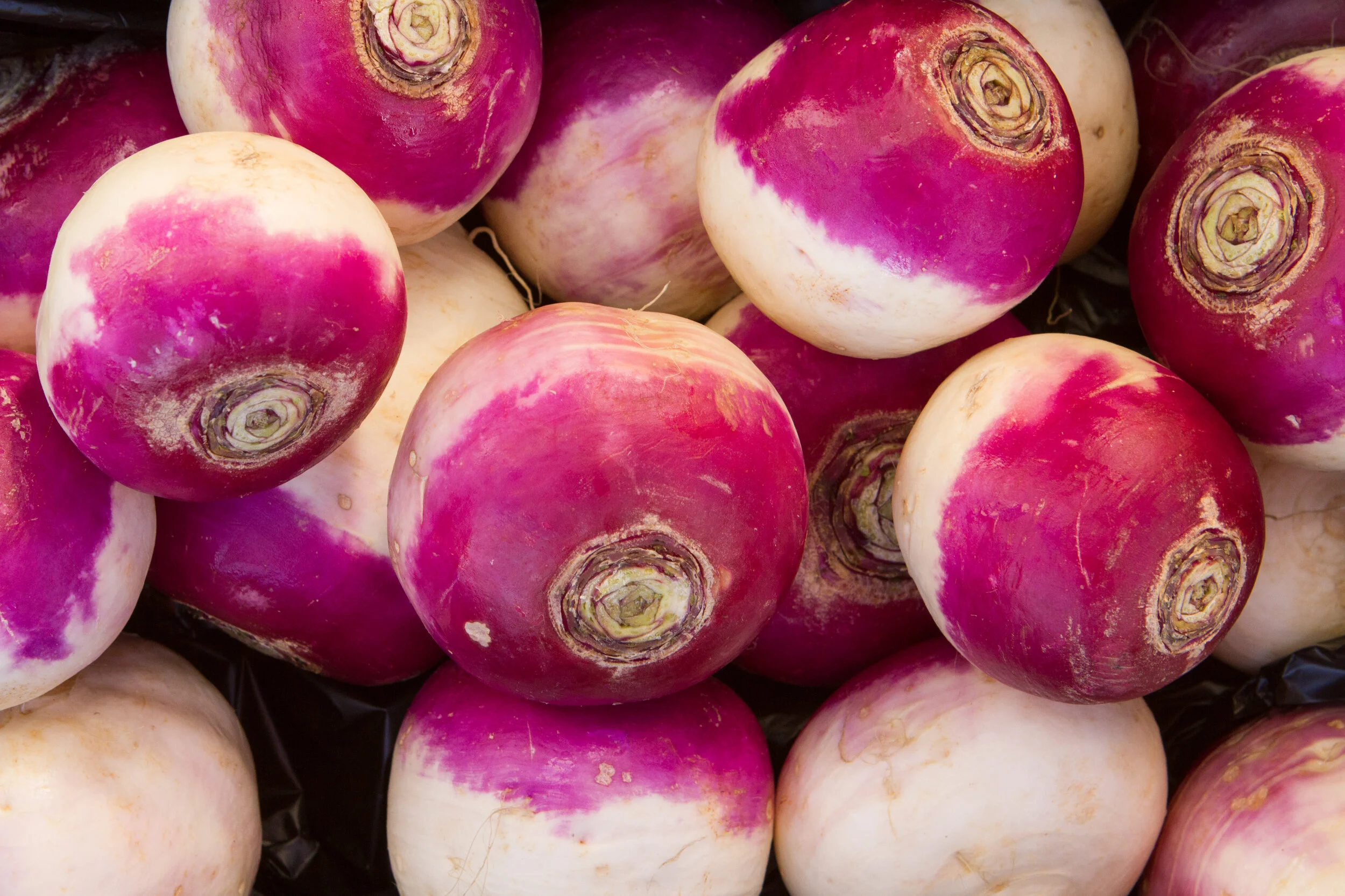 Turinips Turnips — Premium Fresh