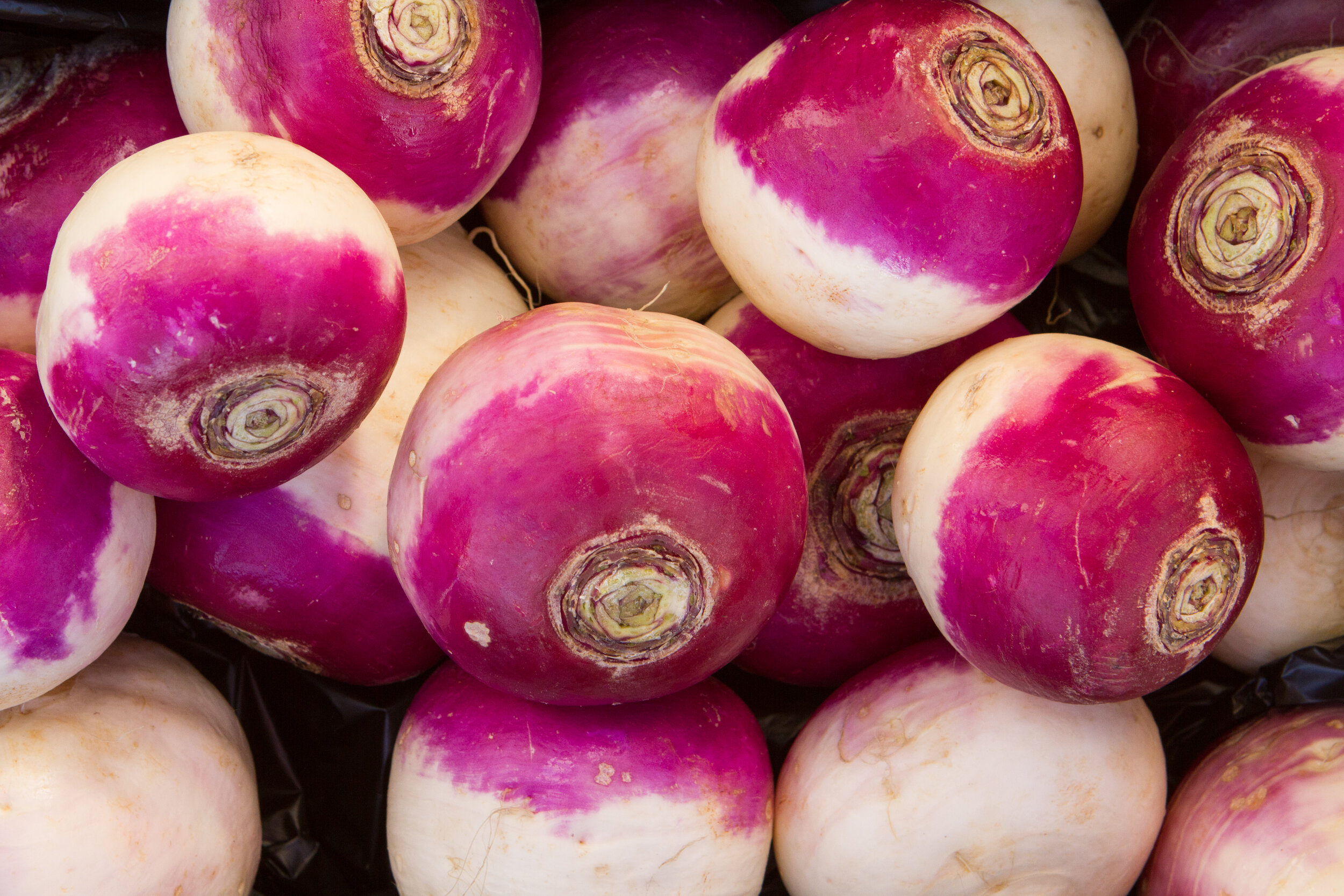 Turnips — Premium Fresh