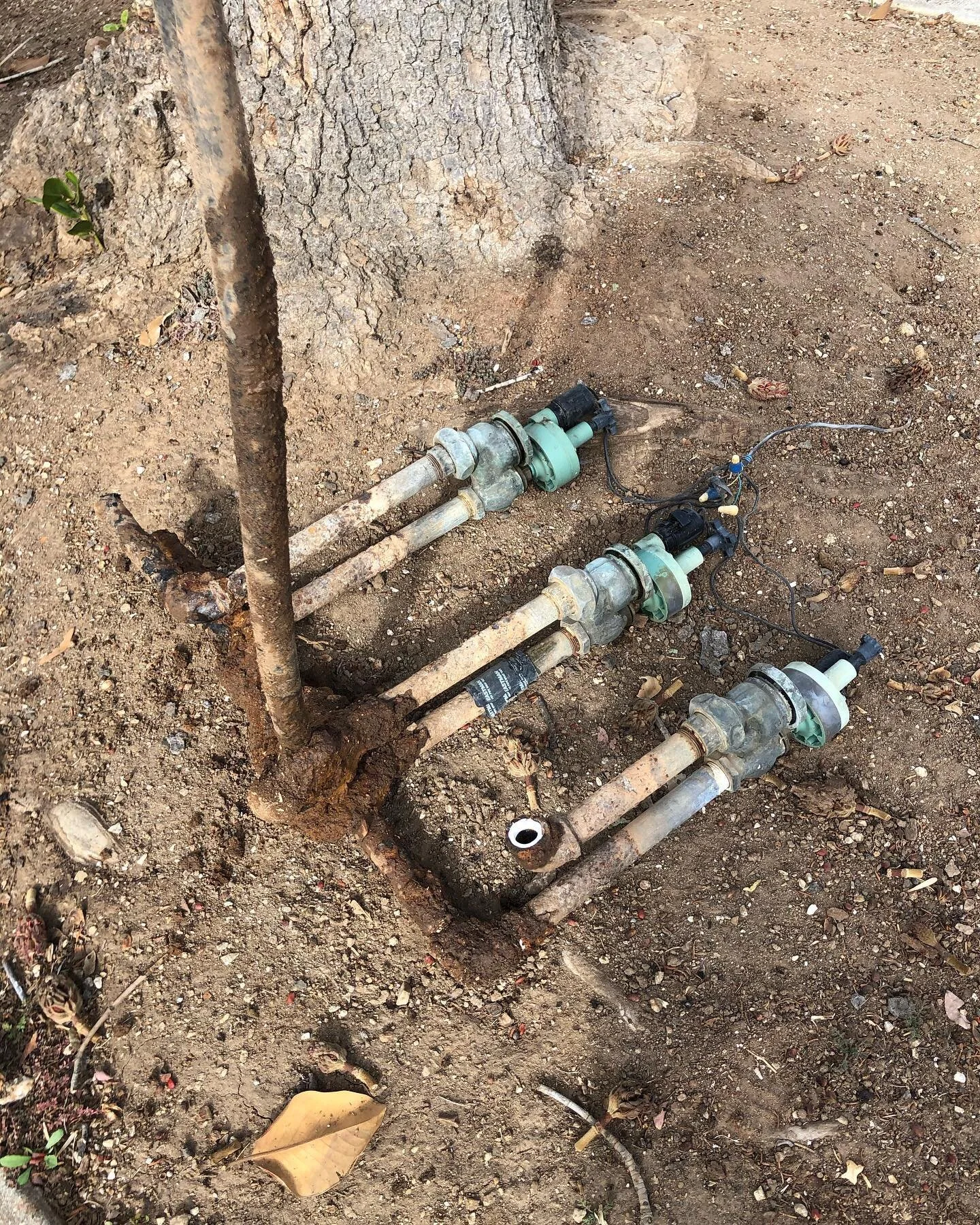 Completely deleted these old valves / pipes. All corroded and nasty, installing a brand new system from scratch in its place!
.
.
.
.
.

#garden #nature #flowers #photography #plants #gardening #summer #naturephotography #travel #flower #beautiful #l