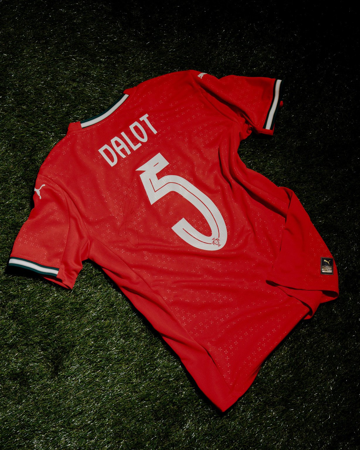 portugal jersey0221.jpg