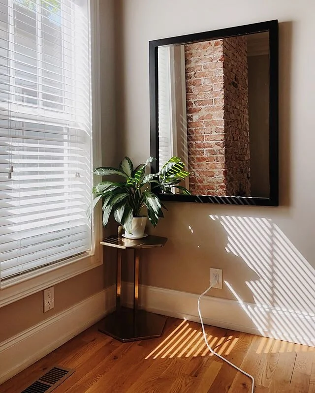 Cute lil sunny corner near our work-from-home headquarters (AKA our dining table). Hence the fact that I did not want to unplug that extension cord for the making of this photo. 🙃 How&rsquo;s work-from-home life going for y&rsquo;all? I&rsquo;m miss