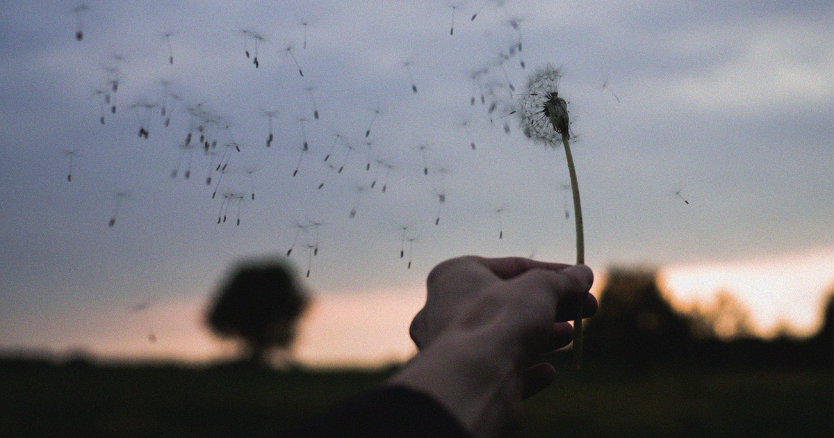 Ecclesiastes + Minimalism: The Comforting Truth About "Everything is Meaningless"