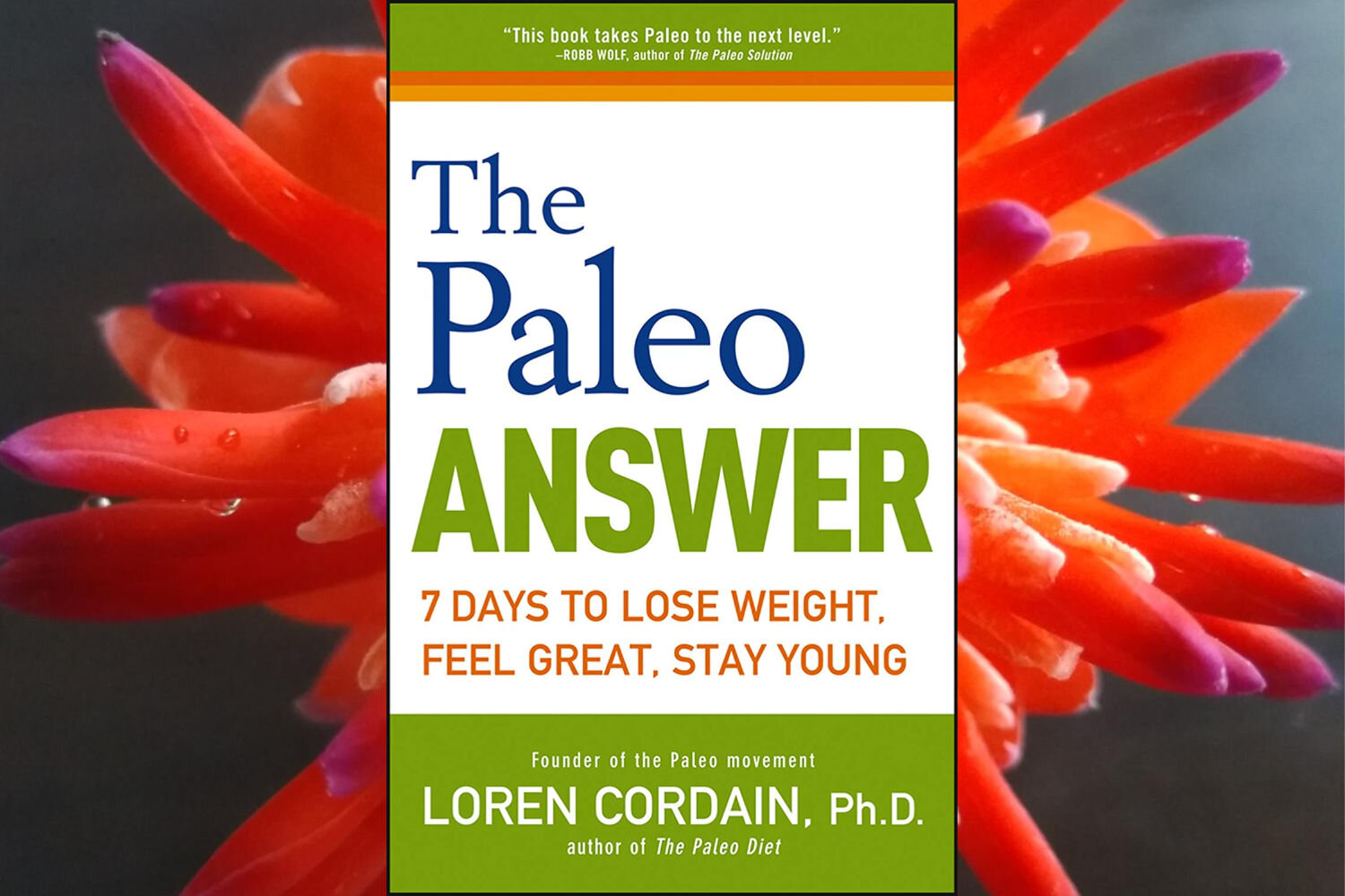 The Paleo Diet is Debunked, But What About Paleo Sitting? - QOR360