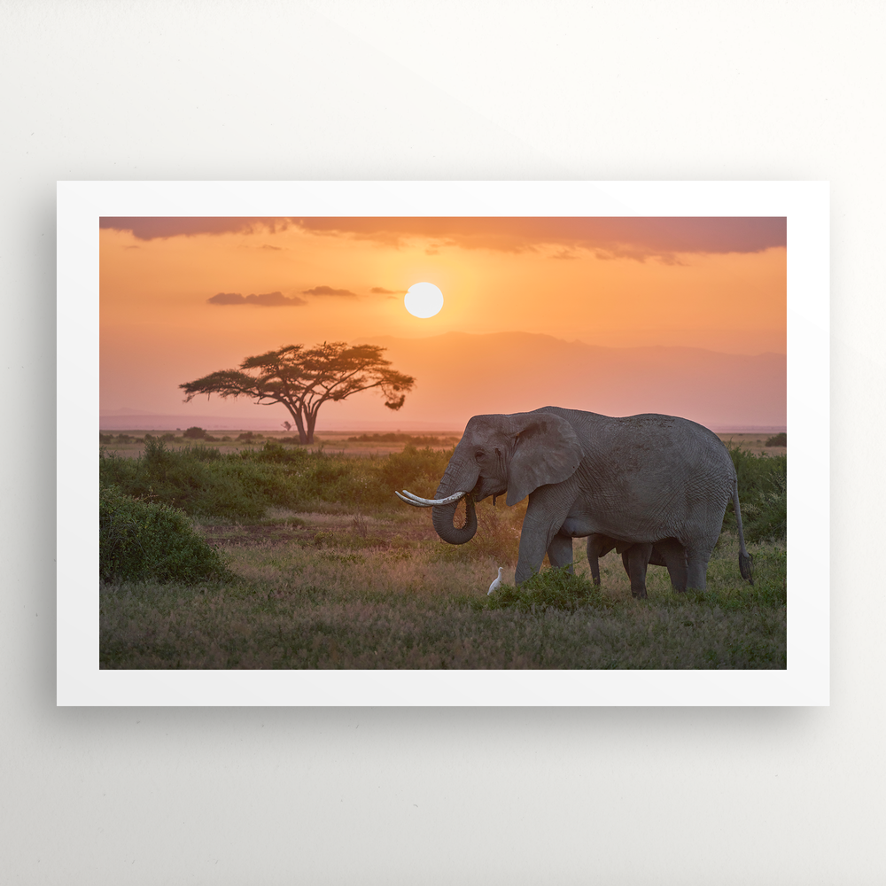 Sunset Embrace: Affectionate Bond in the African Savanna