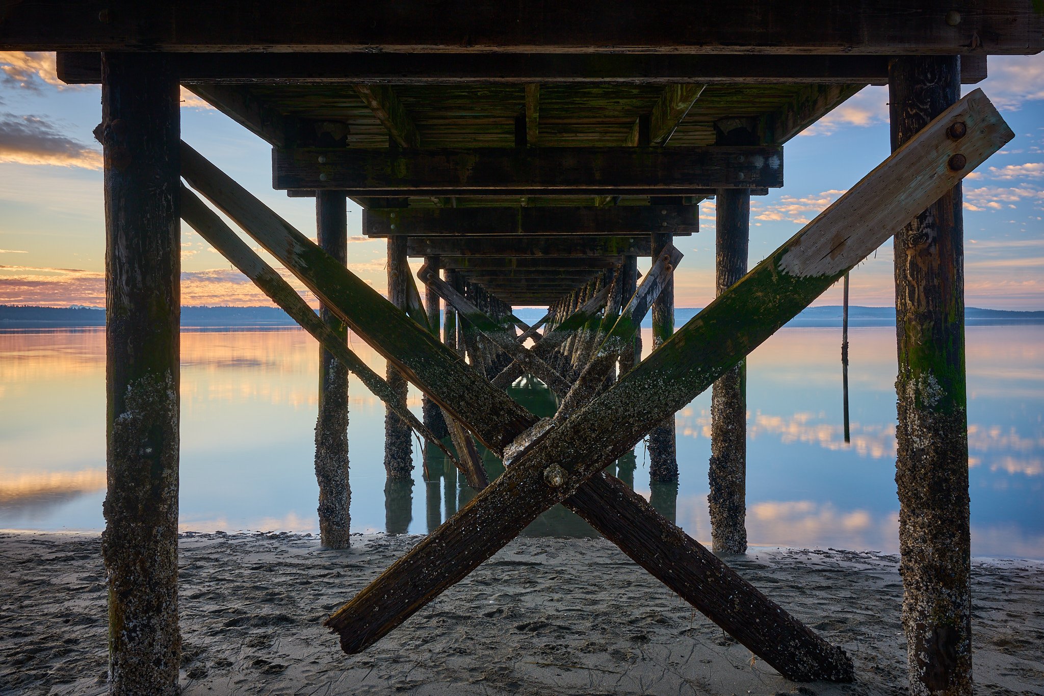 Under the pier