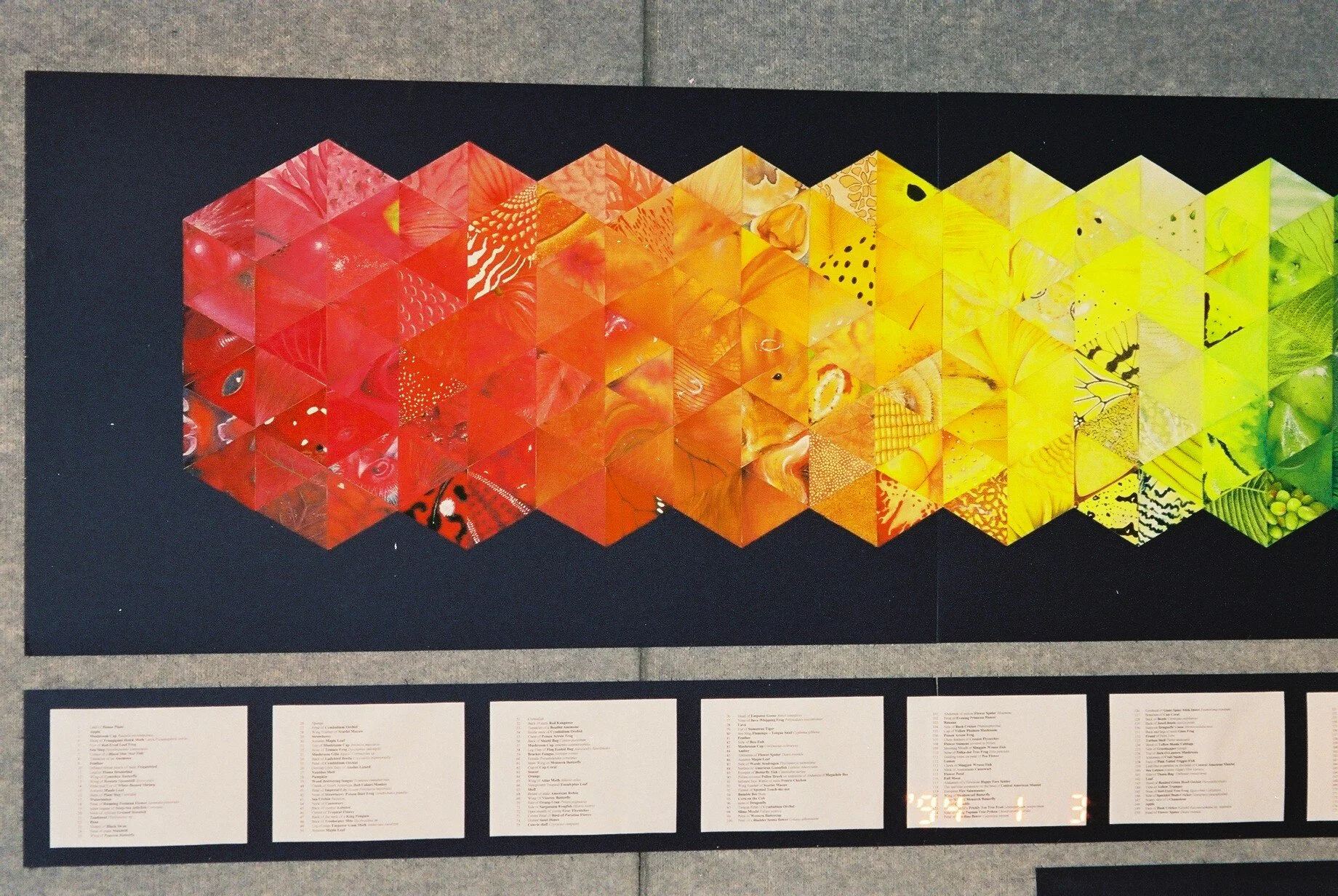 Nature's Colour Spectrum