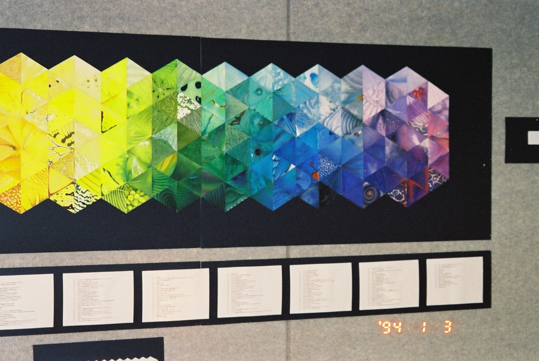 Nature's Colour Spectrum