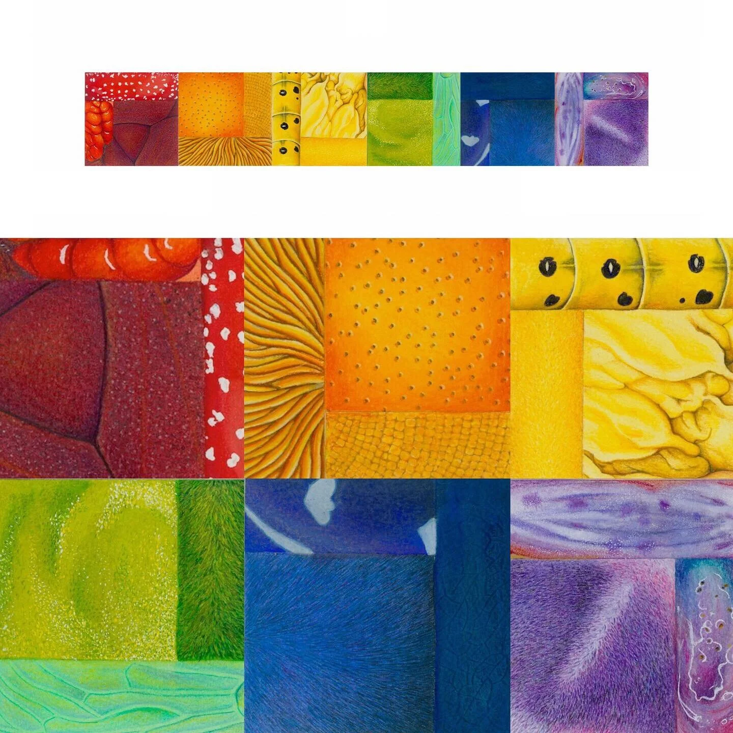 #Meet The Maker ....... Prompt 5 : CLOSE UP