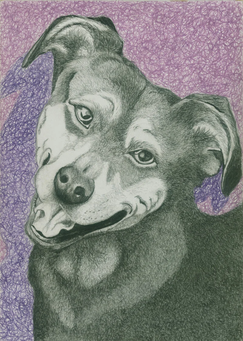 Graphite with coloured pencil background on paper. 8x10 inches. Drawn in approx 1996