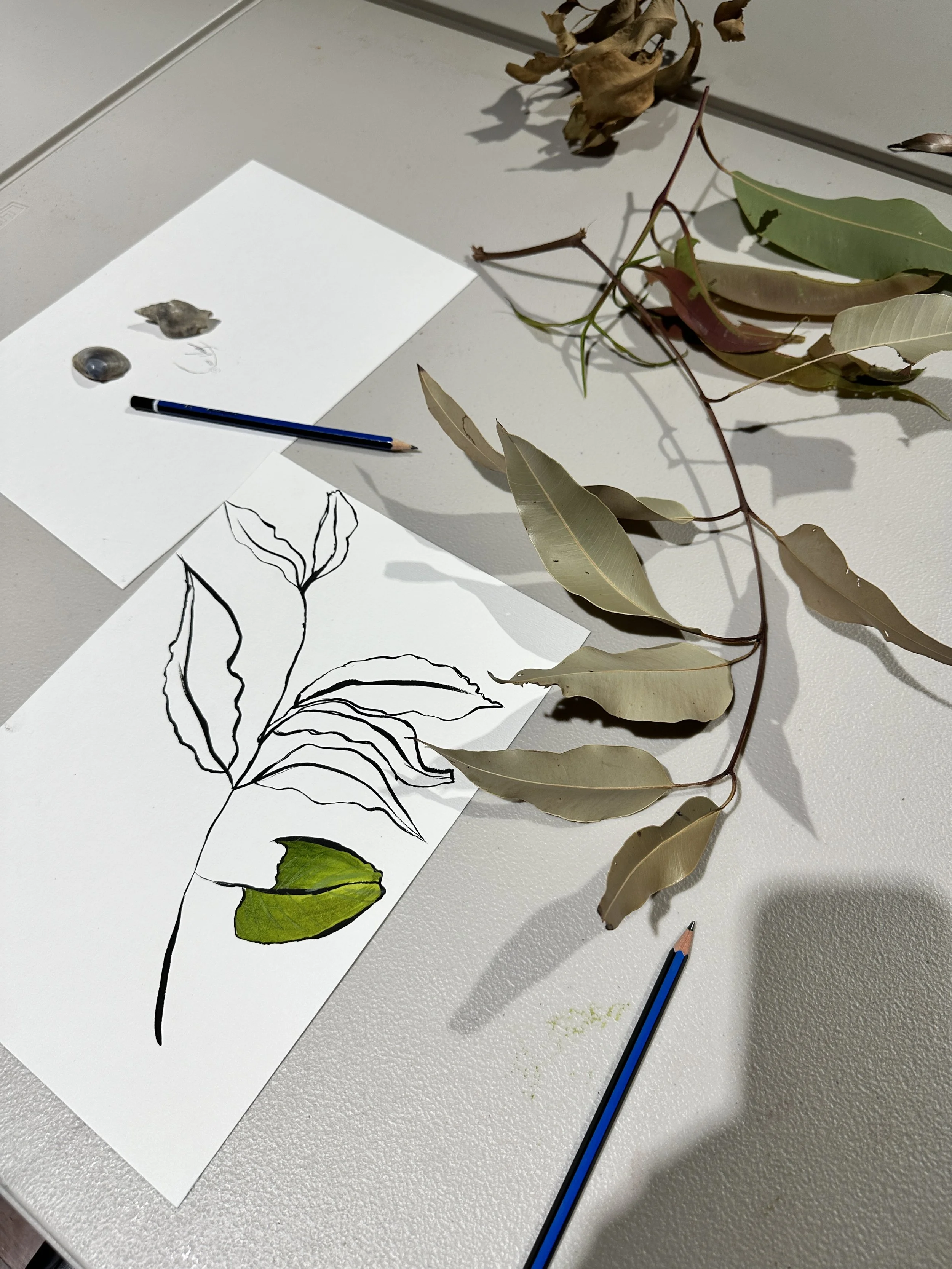 Plants, plants, plants!  Art workshop – Wed 14 January (full day)