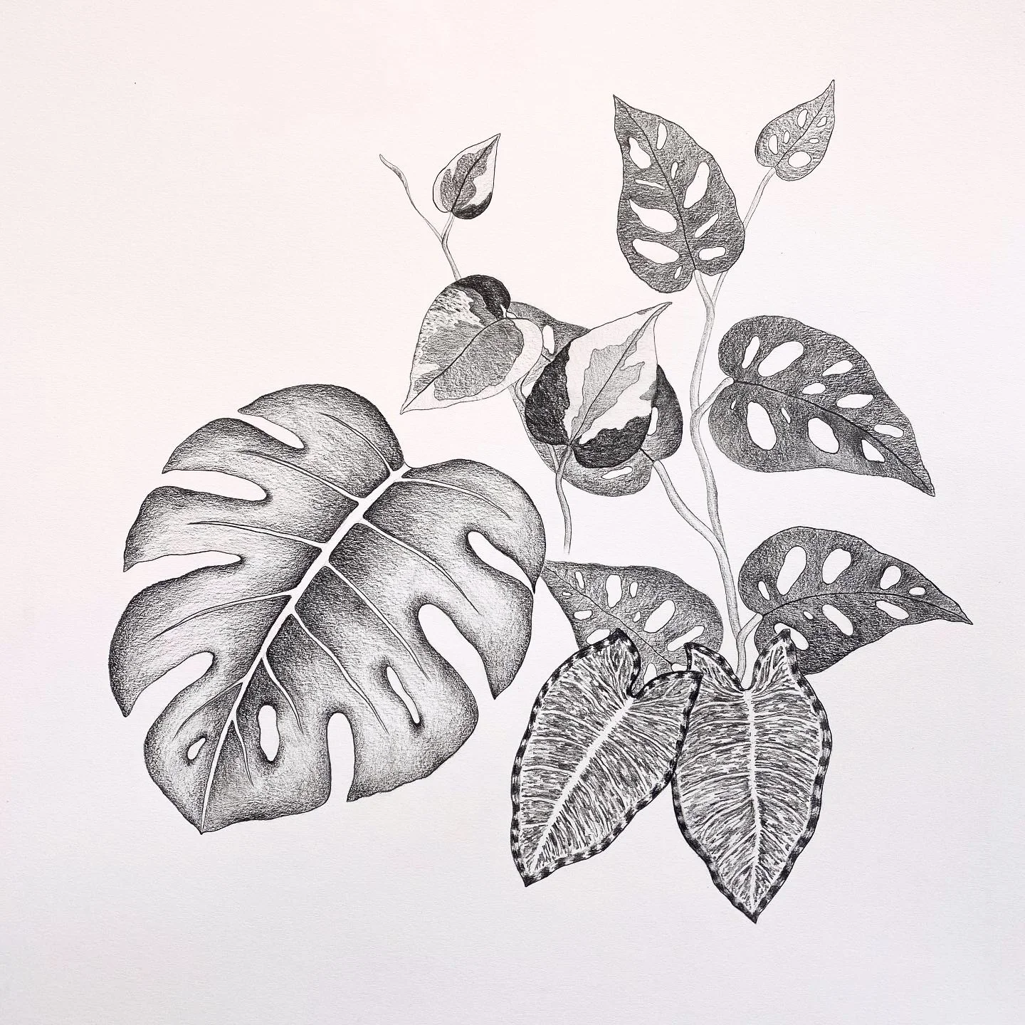 'Creative Teens' illustration and art classes (12-16 years) Term 4