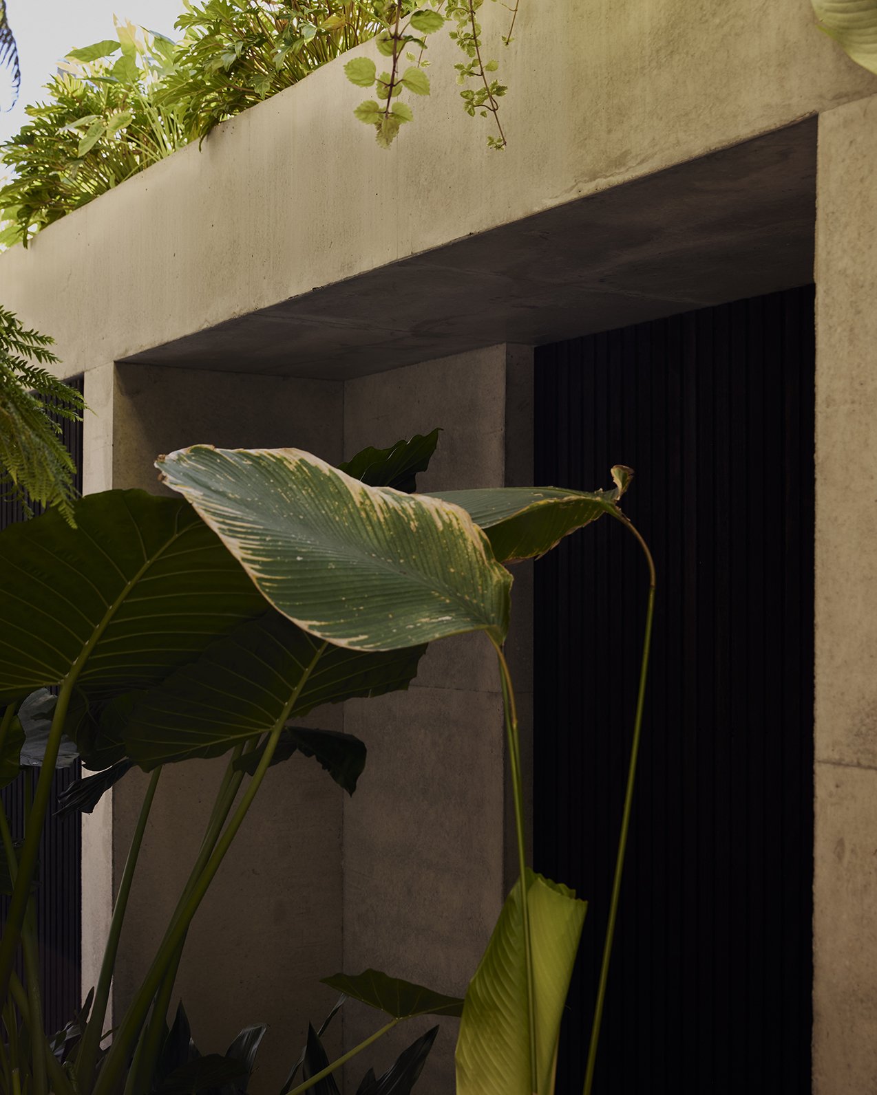 250626_DW_SL_Elystan_s12_0029 copy.jpg