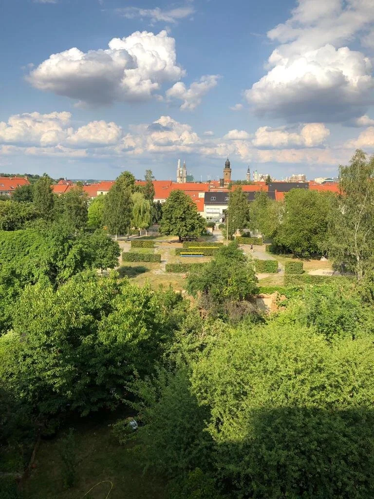 WhatsApp Image 2019-12-03 at 16.55.45.jpeg