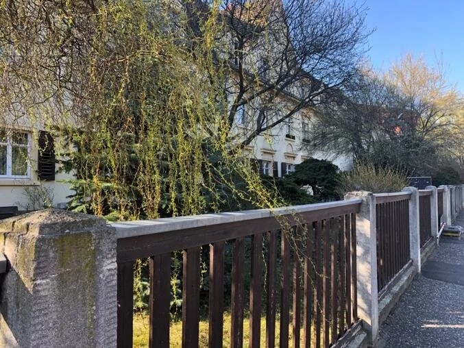 WhatsApp Image 2019-12-03 at 16.40.06.jpeg