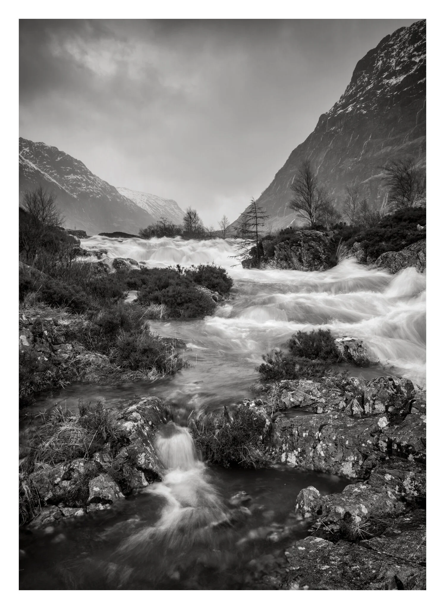 untitled-103.jpg