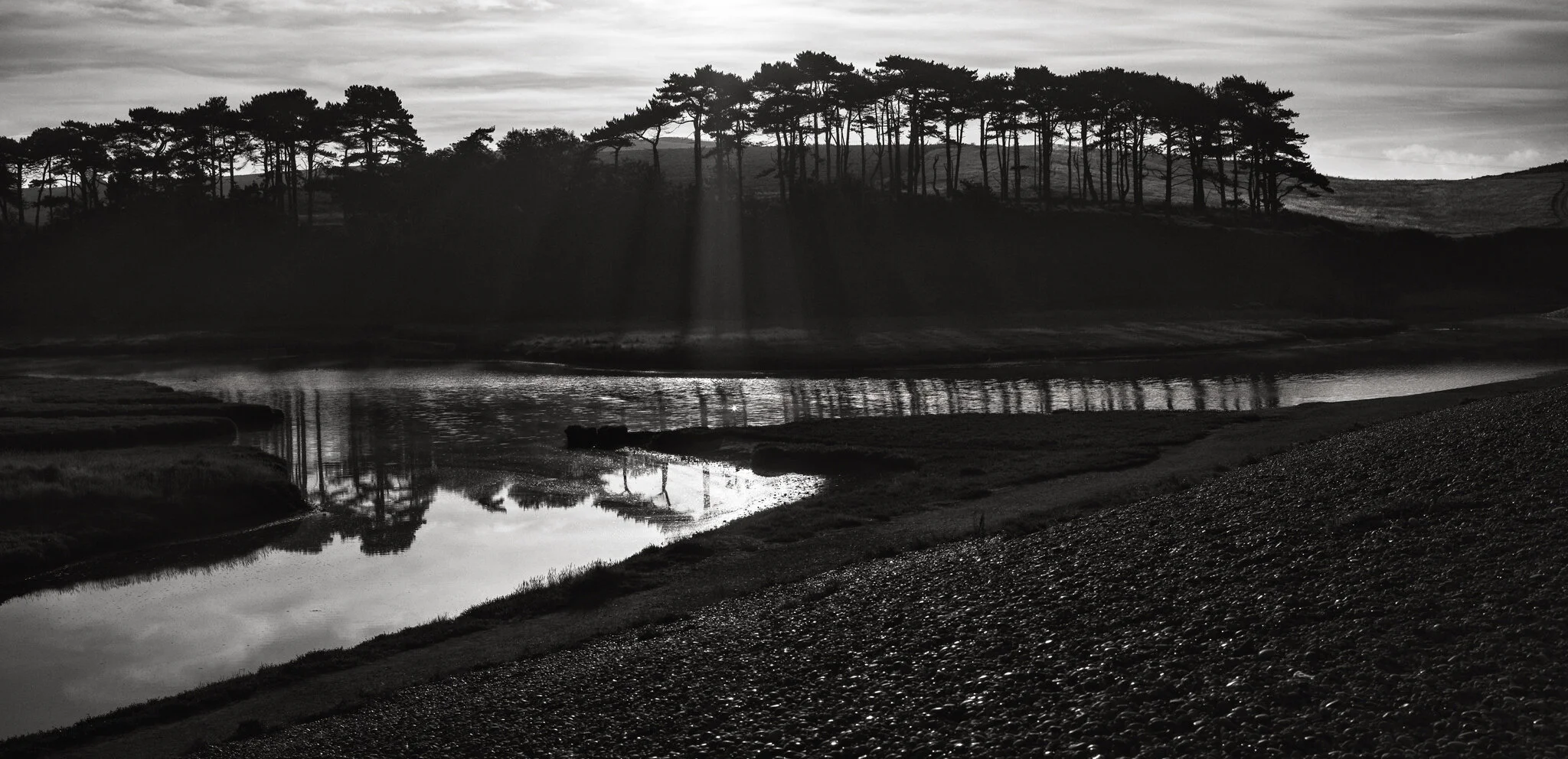 light through trees.jpeg