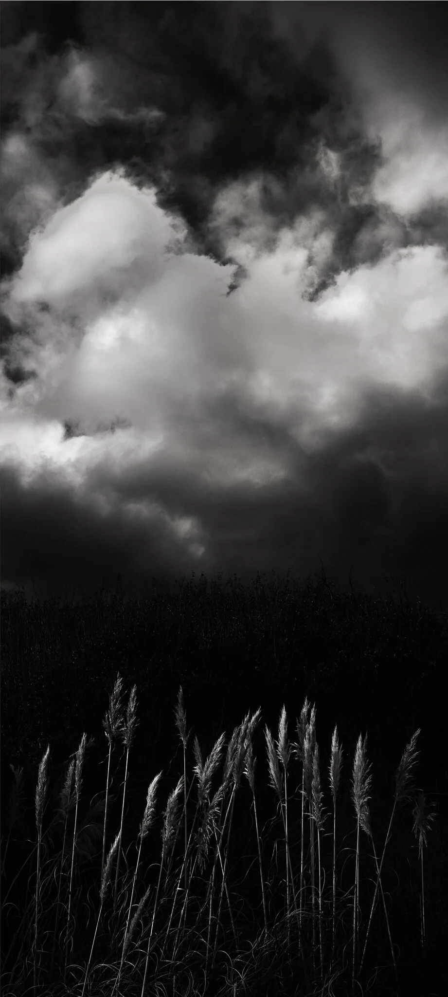 20204381-Edit-Edit.jpg