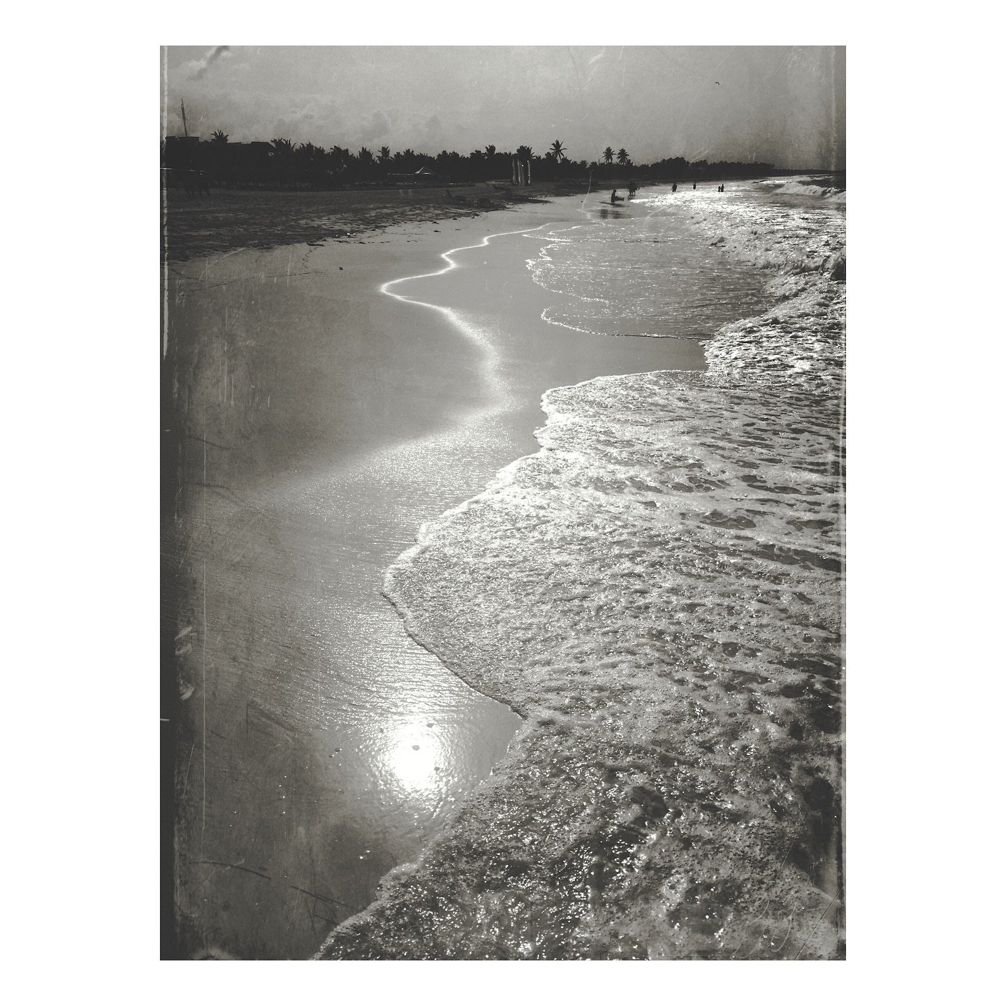 &ldquo;Cleanse me with hyssop, and I will be clean; wash me, and I will be whiter than snow.&rdquo; - Psalm 51:7
-
#canon #canonphotography #canonphoto #beach #blackandwhitephotography #blackandwhite #scenic #landscape #landscapephotography