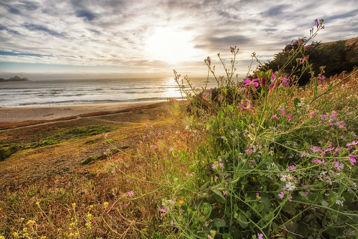 &ldquo;Look at the lilies of the field and how they grow. They don&rsquo;t work or make their clothing, 29yet Solomon in all his glory was not dressed as beautifully as they are. 30And if God cares so wonderfully for wildflowers that are here today a