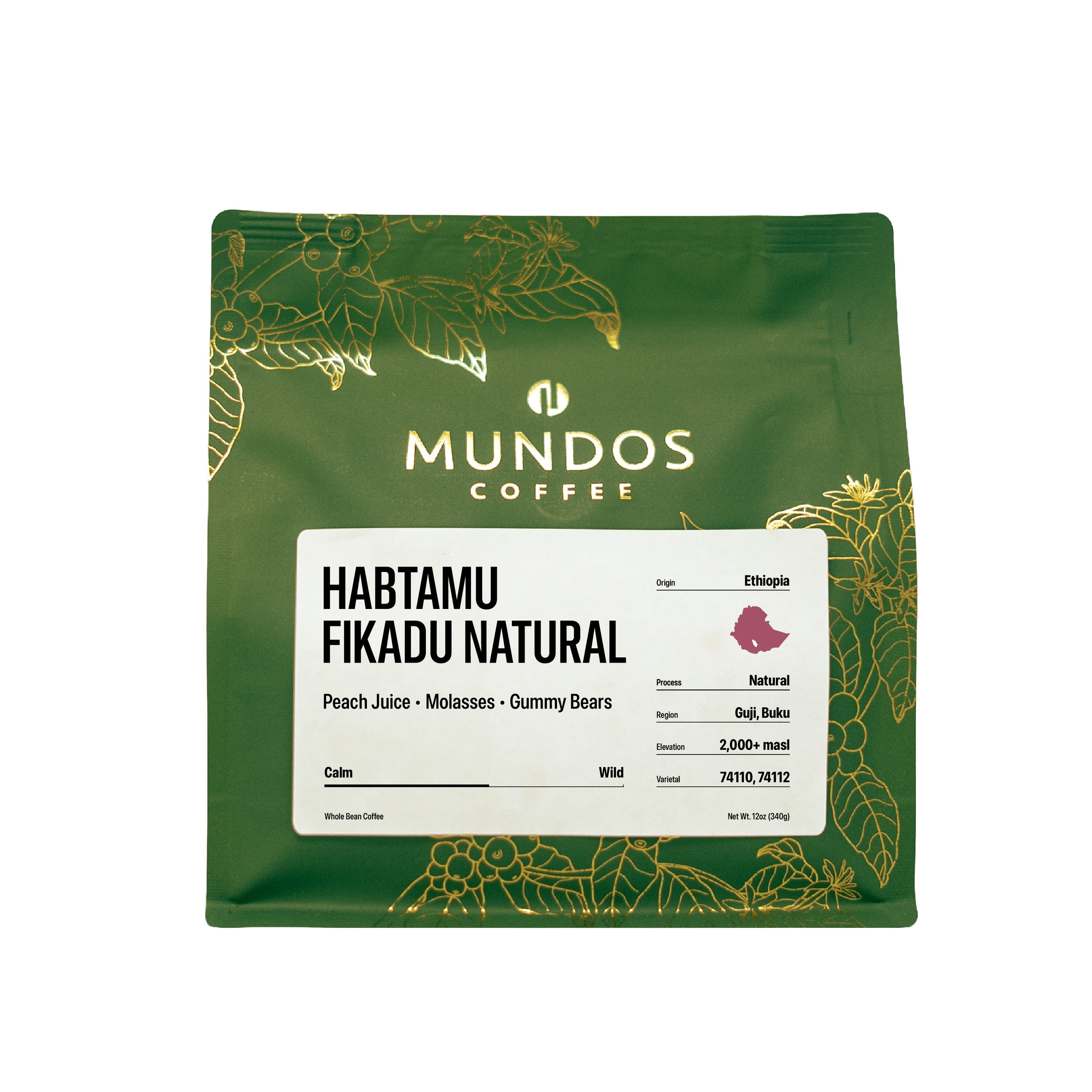Ethiopia Habtamu Fikadu (Natural).png