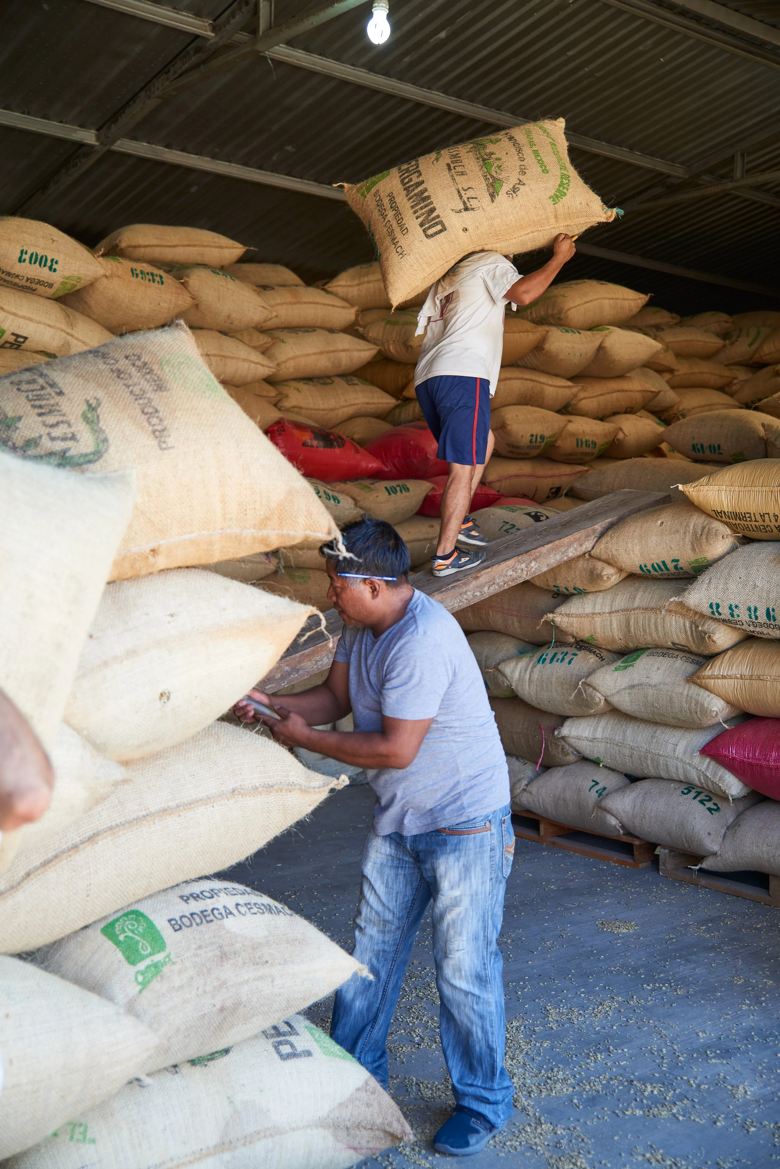 Cafe_Imports_Mexico_CESMACH-13-2021-12-08-191408.jpg