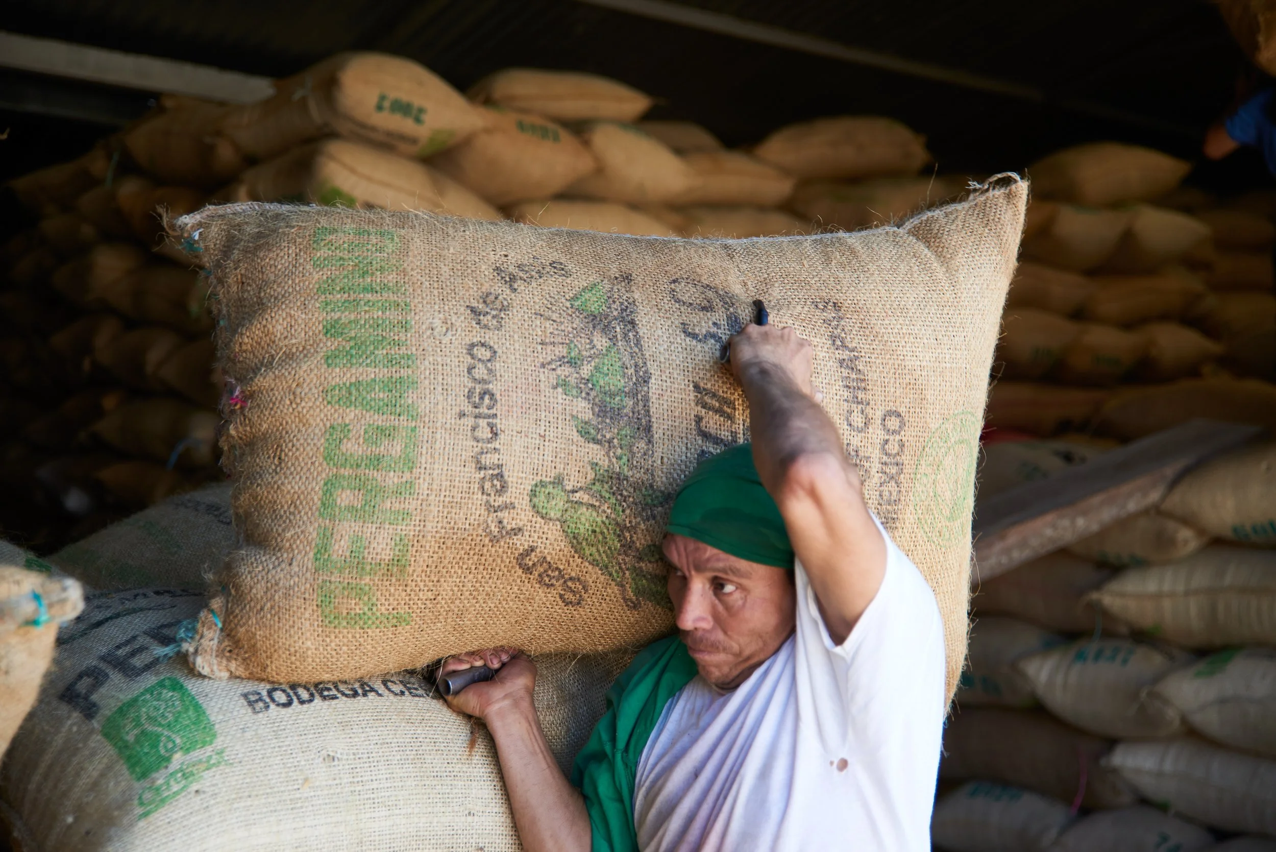 Cafe_Imports_Mexico_CESMACH-14-2021-12-08-191409.jpg
