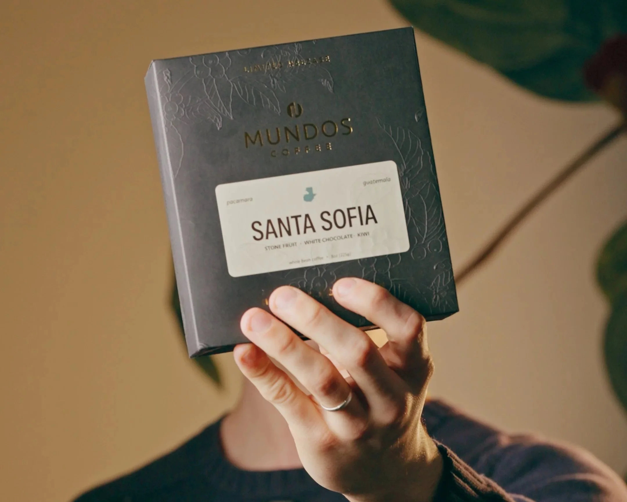 LImited drop: guatemala santa sofia | anaerobic pacamara