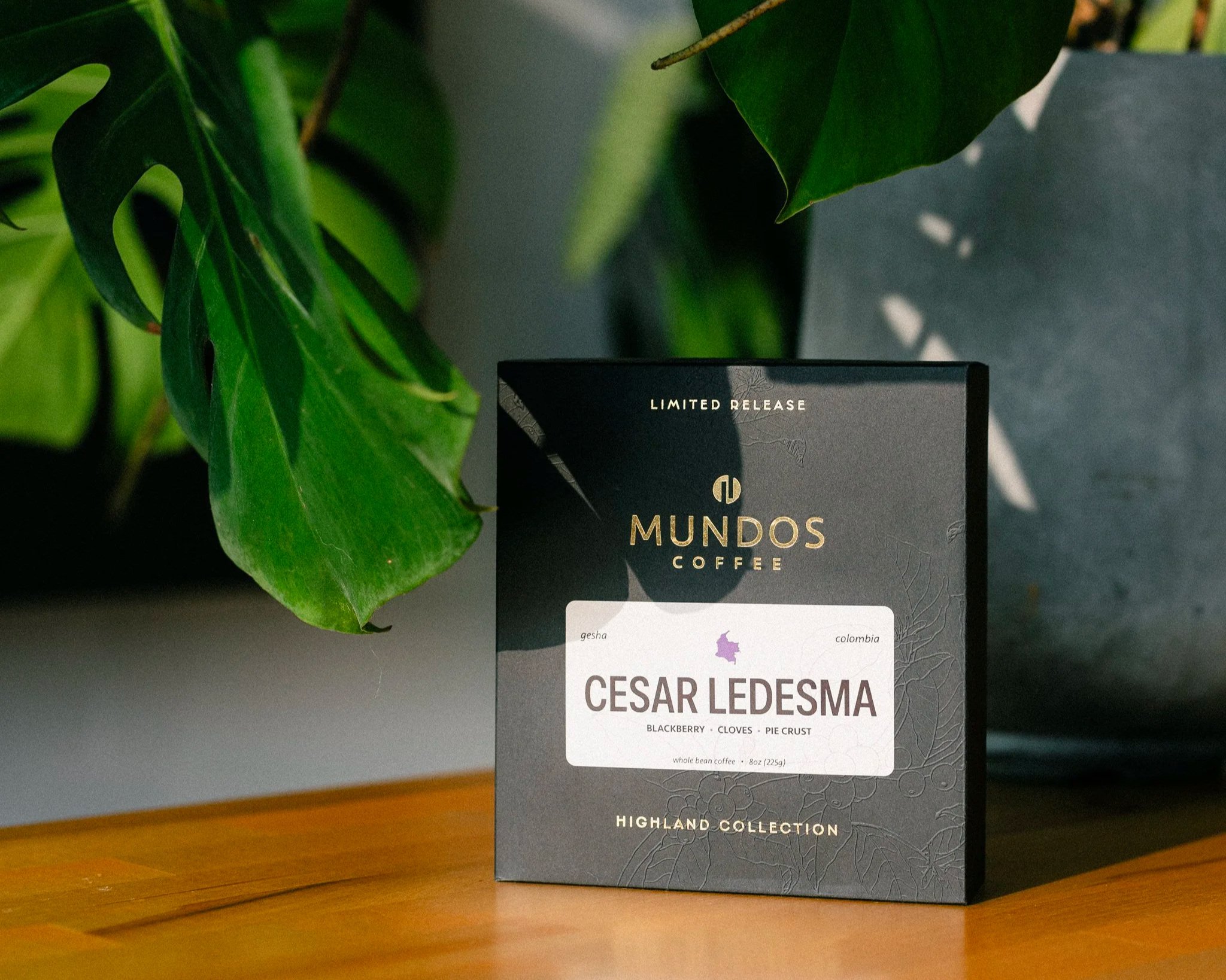 CESAR LEDESMA GESHA PRE-ORDER