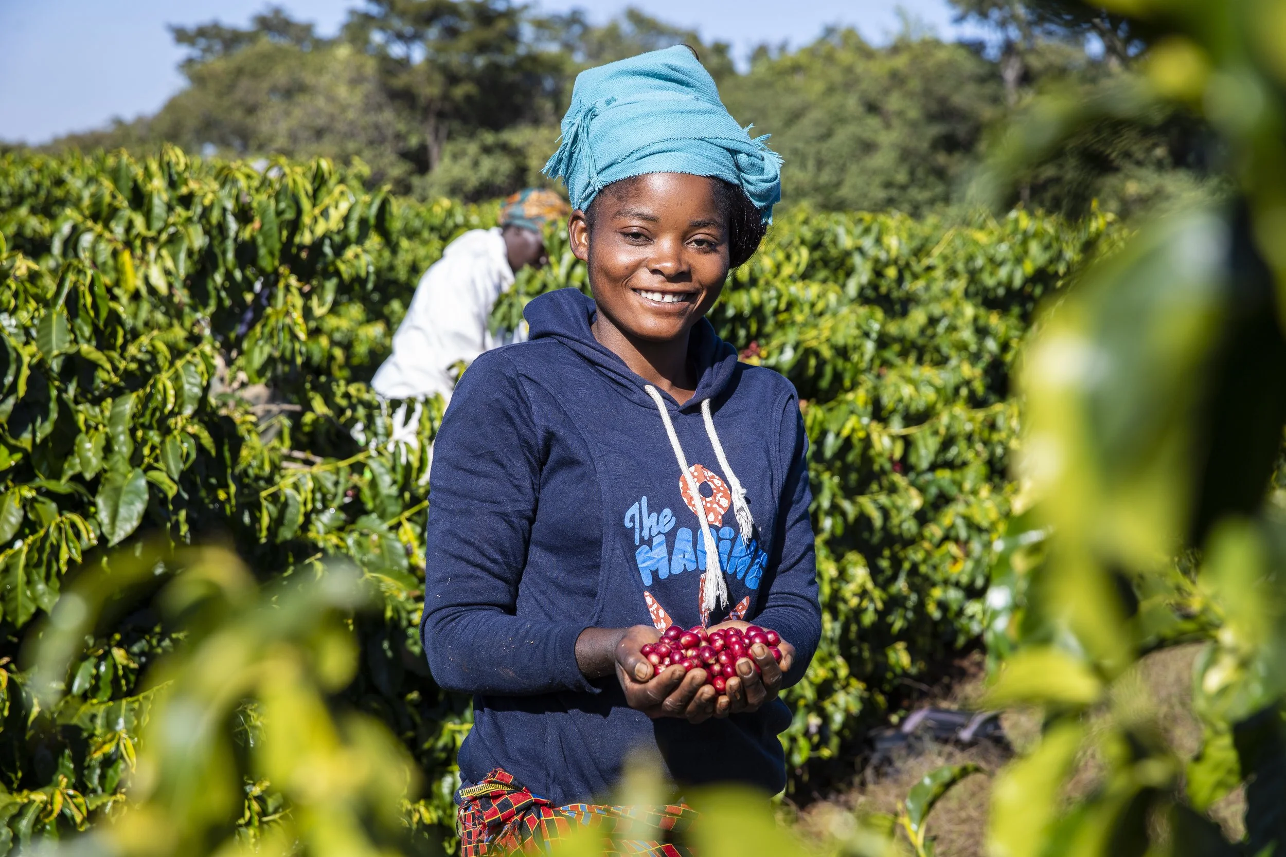 Zambia Kateshi Estate 2.jpg
