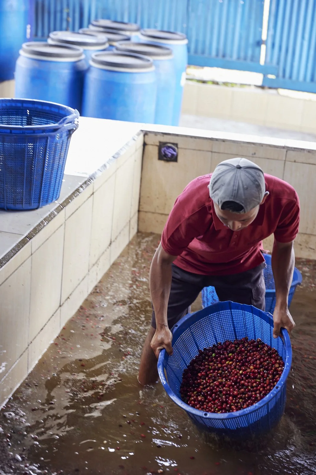 Cafe_Imports_Sumatra_Asman2-2025-10-20-165657.jpg