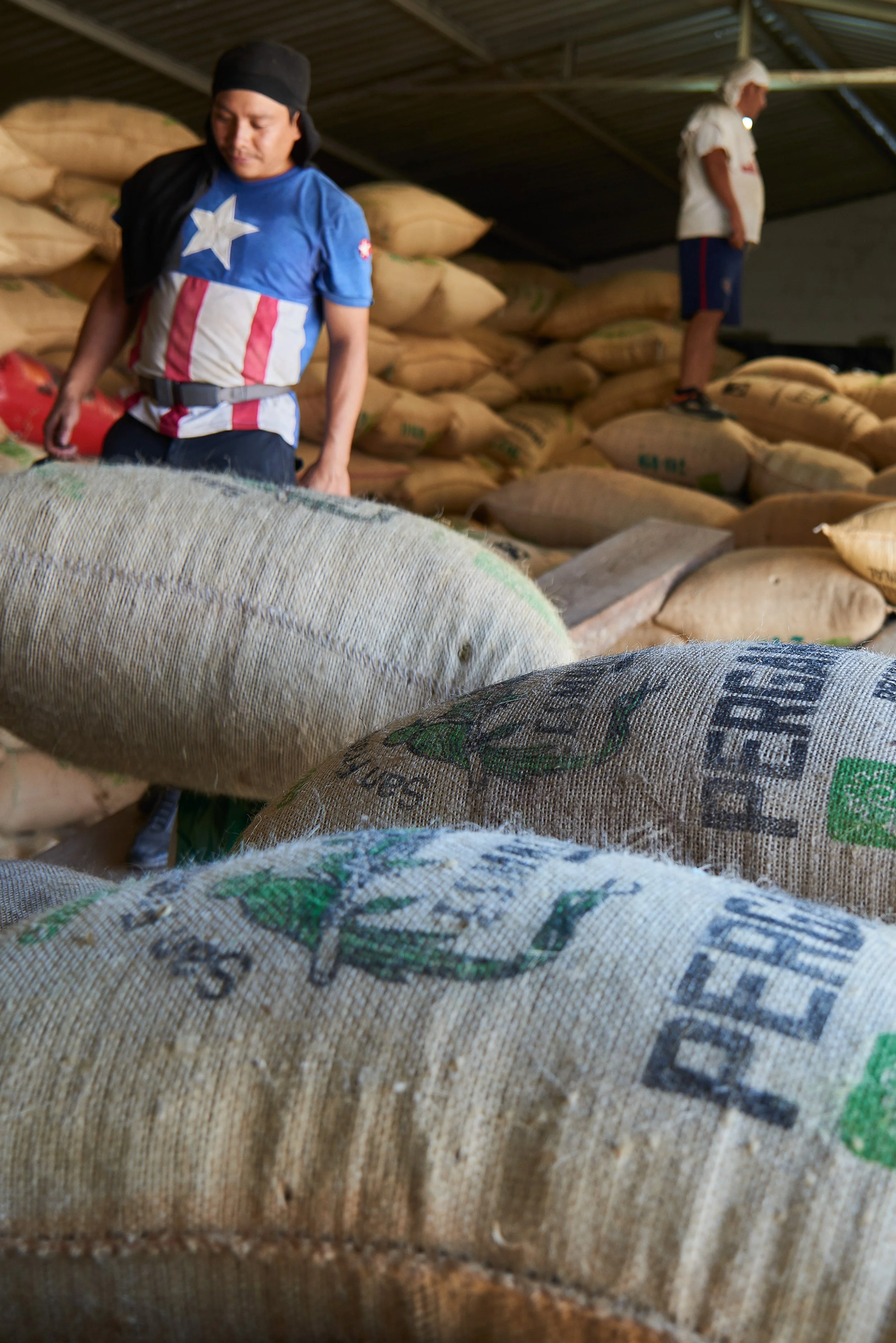 Cafe_Imports_Mexico_CESMACH-15-2021-12-08-191408.jpg