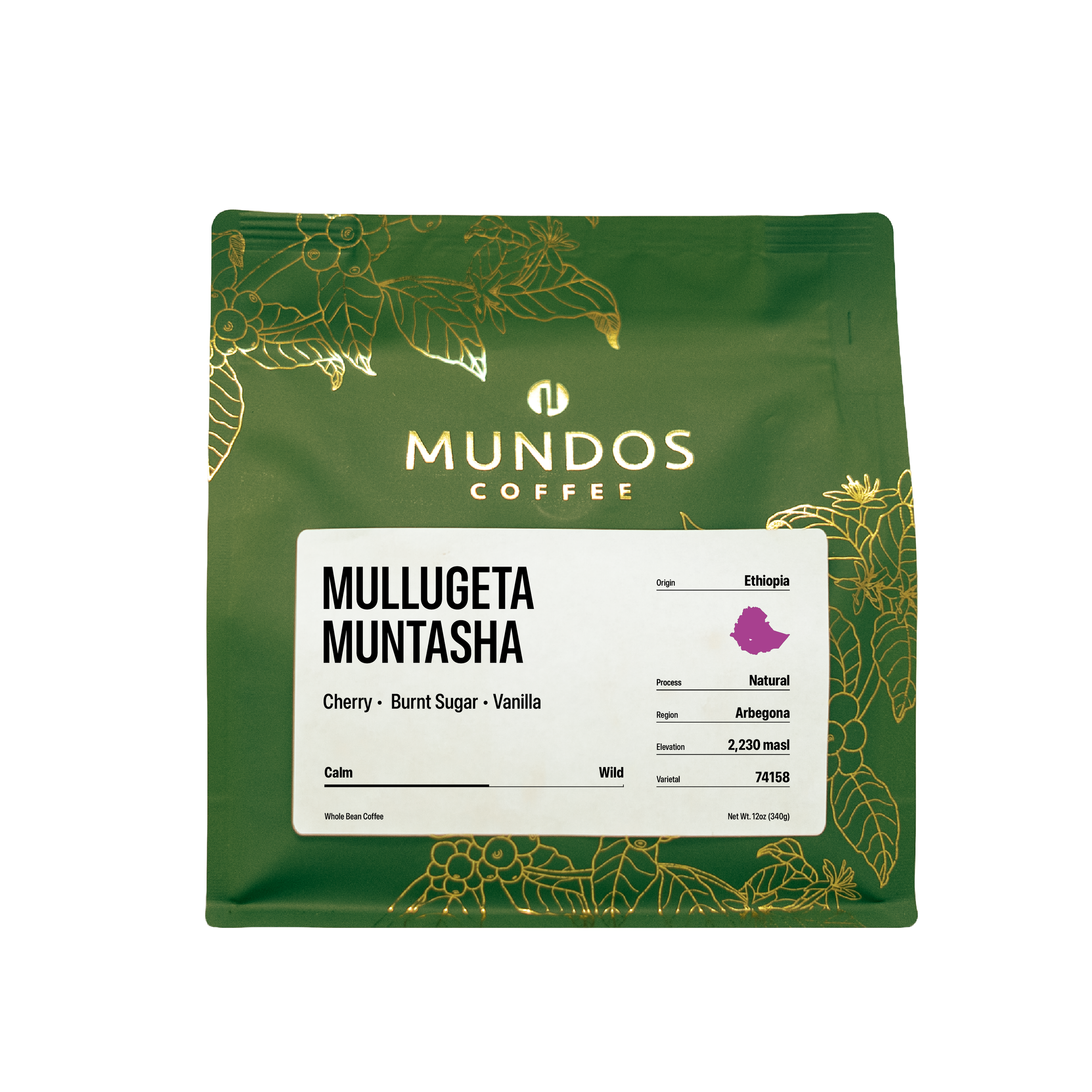 Ethiopia Mullugeta Muntasha.png