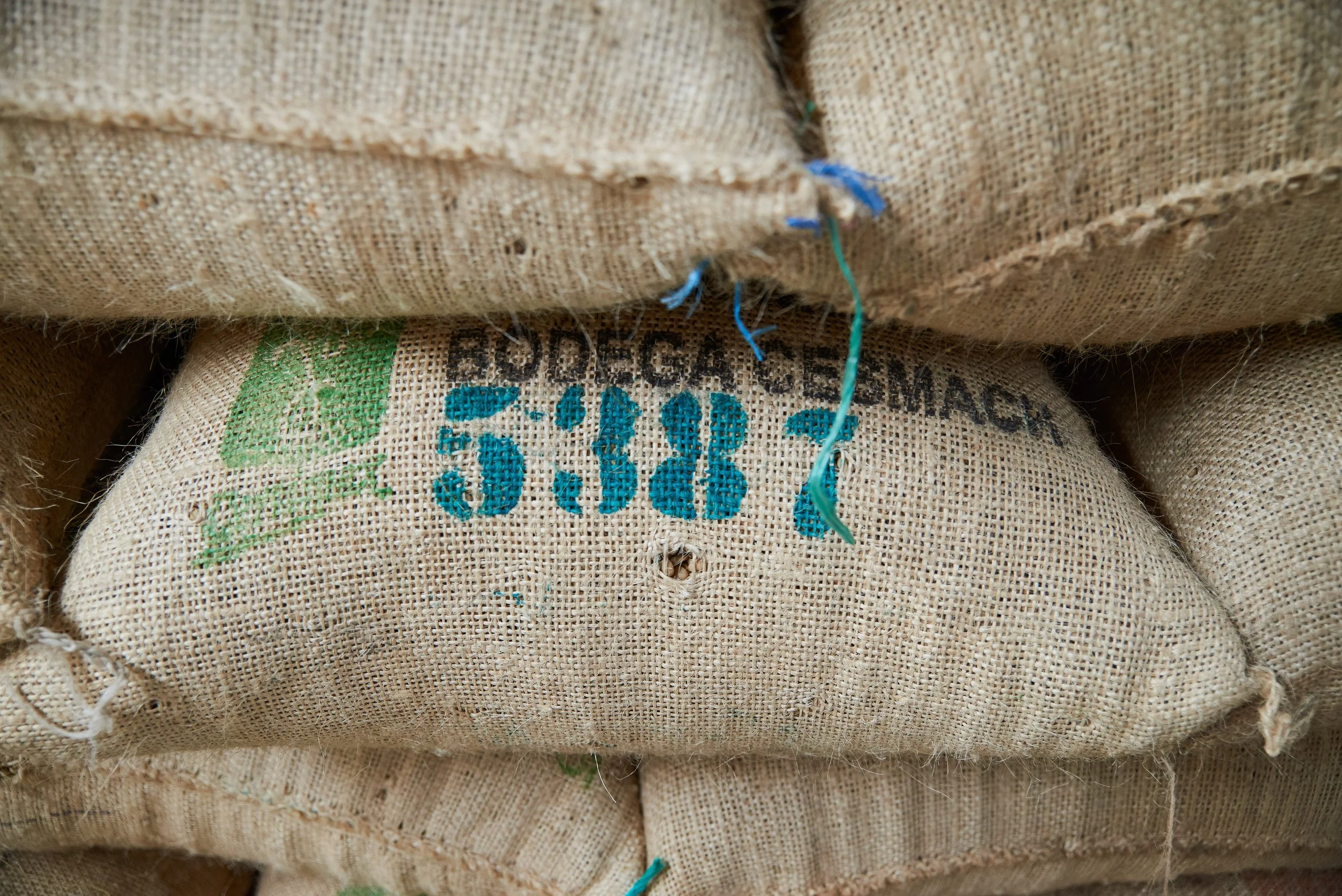 Cafe_Imports_Mexico_CESMACH-3-2021-12-08-191407.jpg