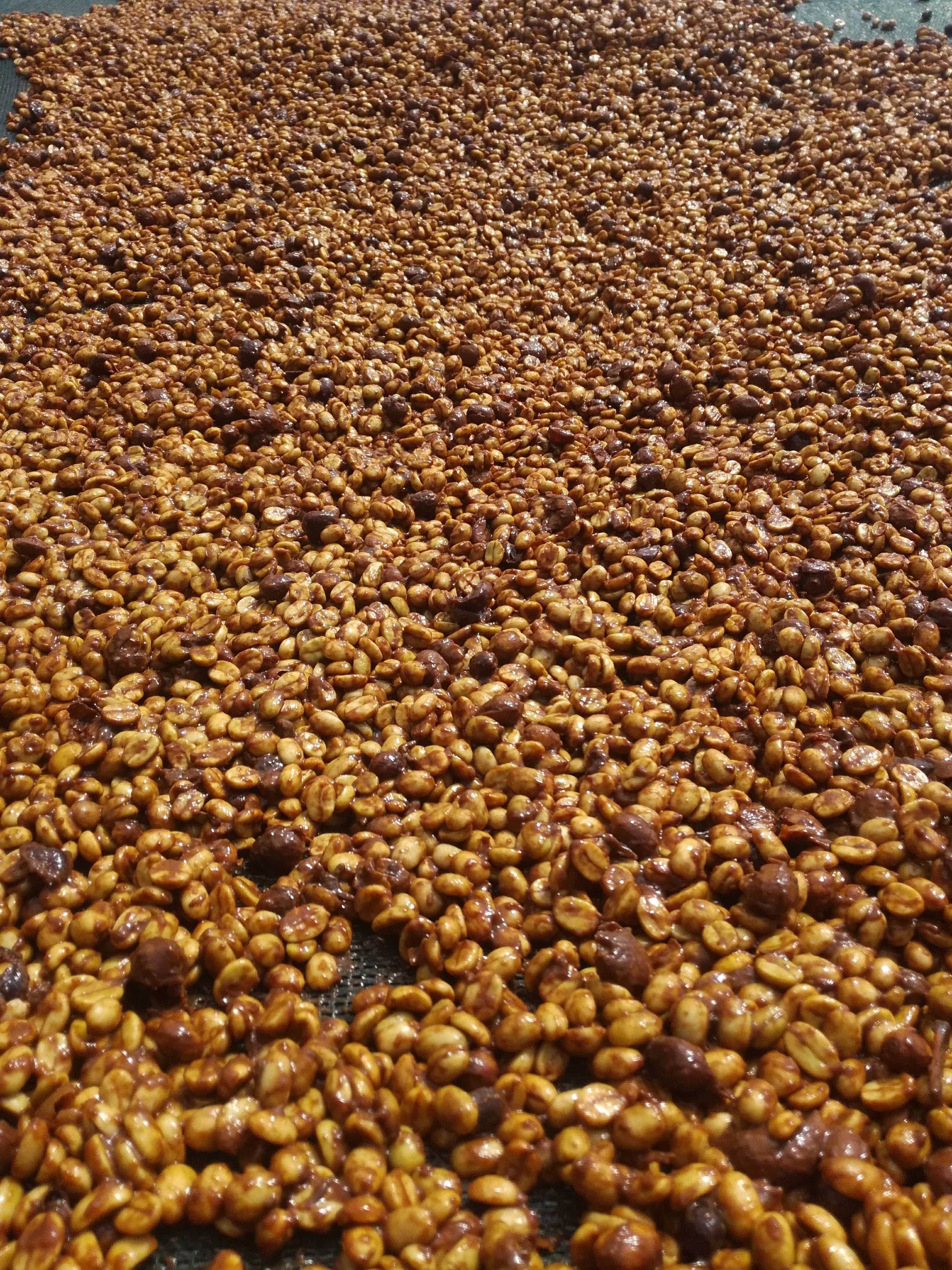 Cafe_Imports_Costa_Rica_Finca_Higuerones3-2023-03-03-031446.jpg