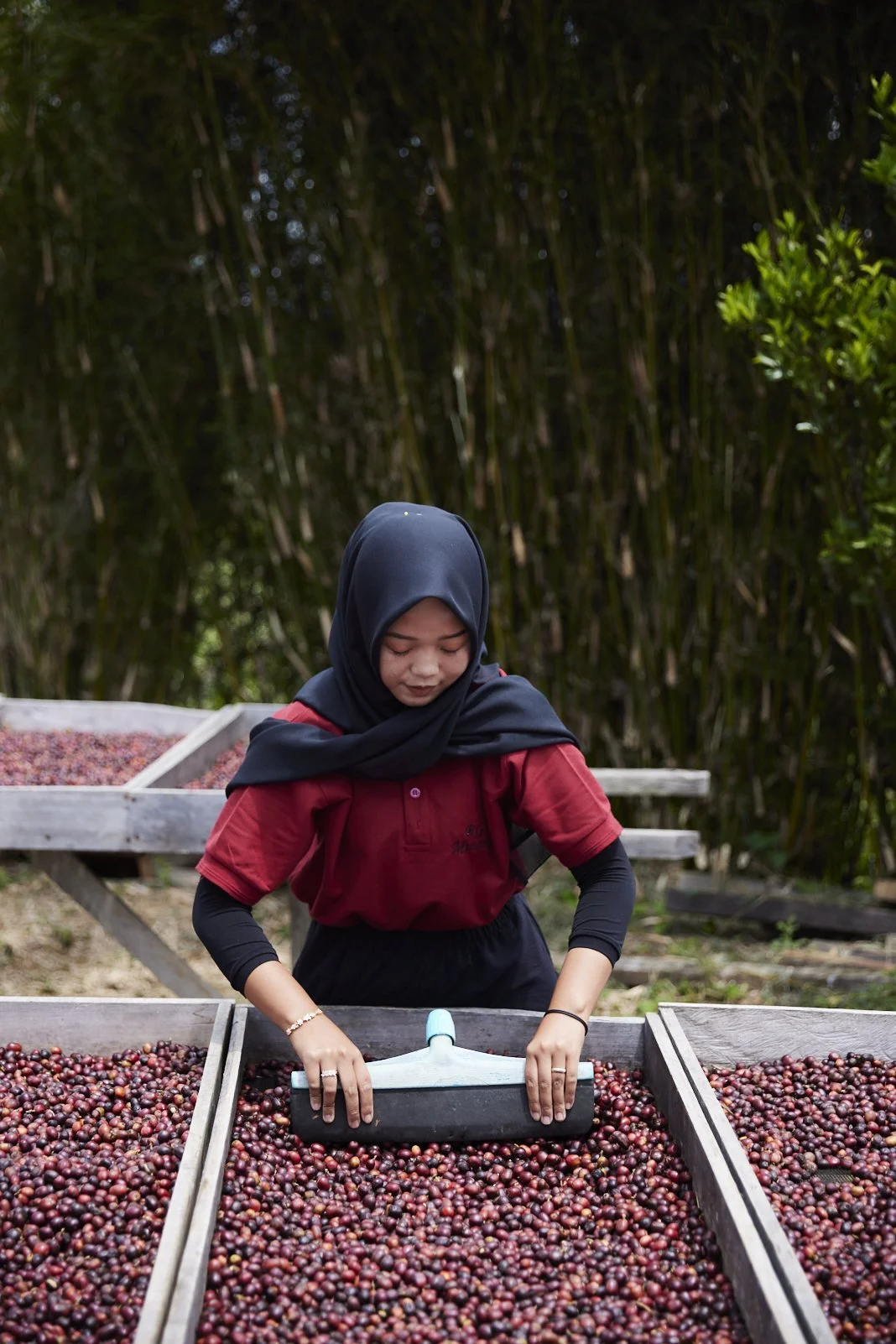 Cafe_Imports_Sumatra_Asman8-2025-10-20-165719.jpg