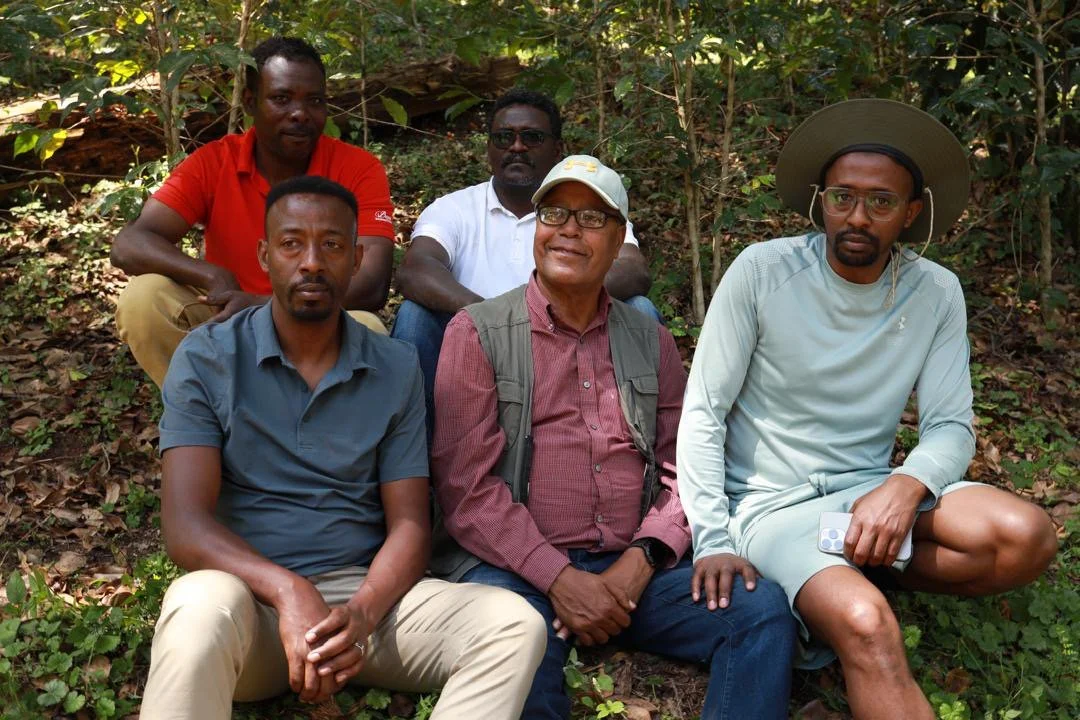 Cafe_Imports_Ethiopia_Kayon_Mountain-24-2025-01-02-182922.jpg