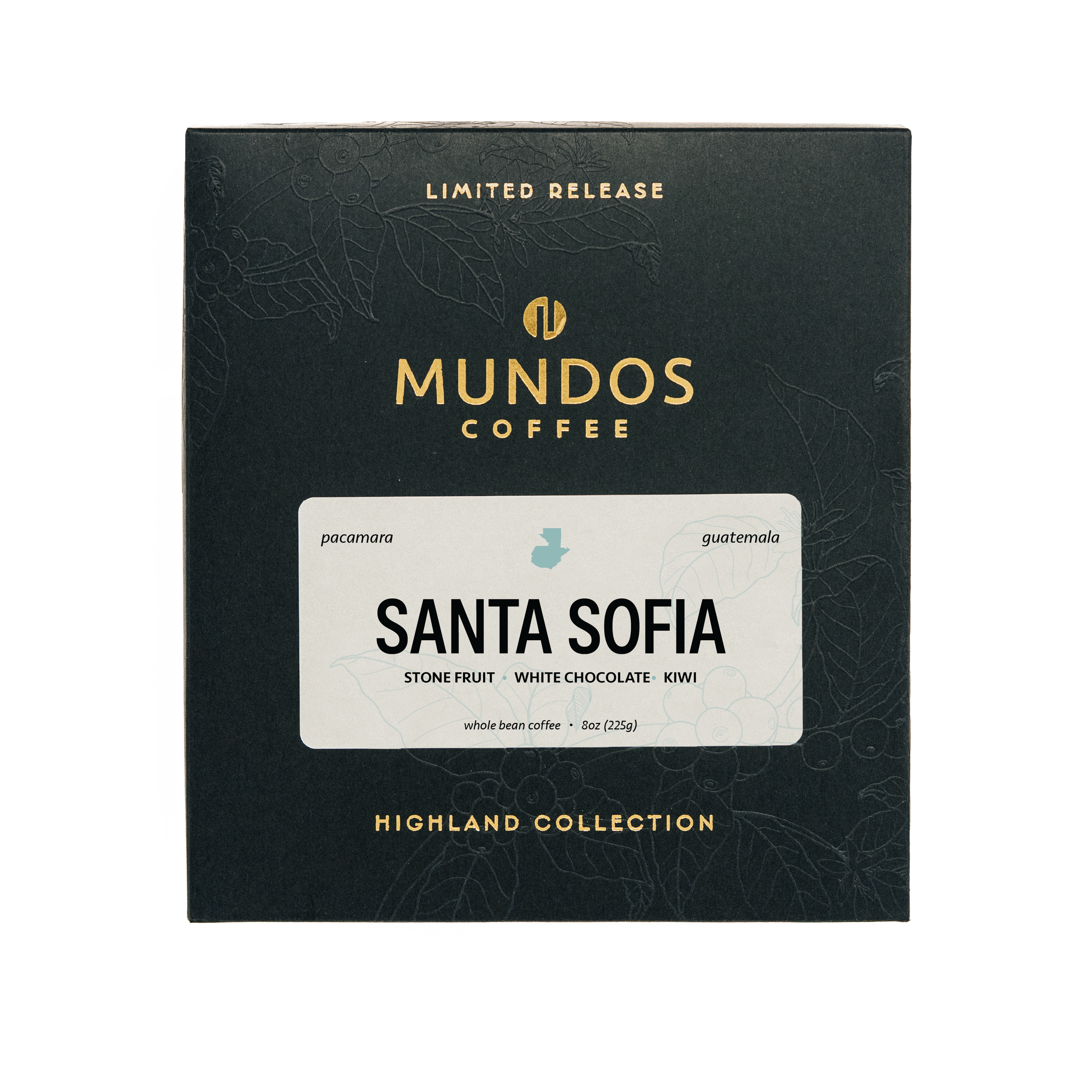 Guatemala | Santa Sofia - Highland Collection 8oz