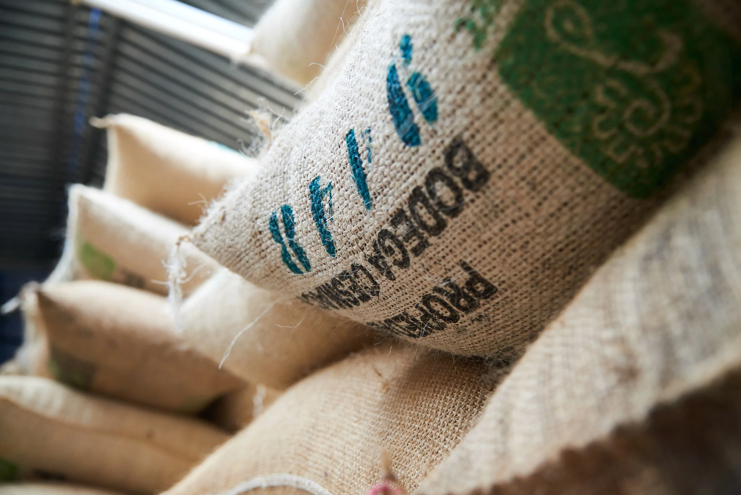 Cafe_Imports_Mexico_CESMACH-4-2021-12-08-191409.jpg