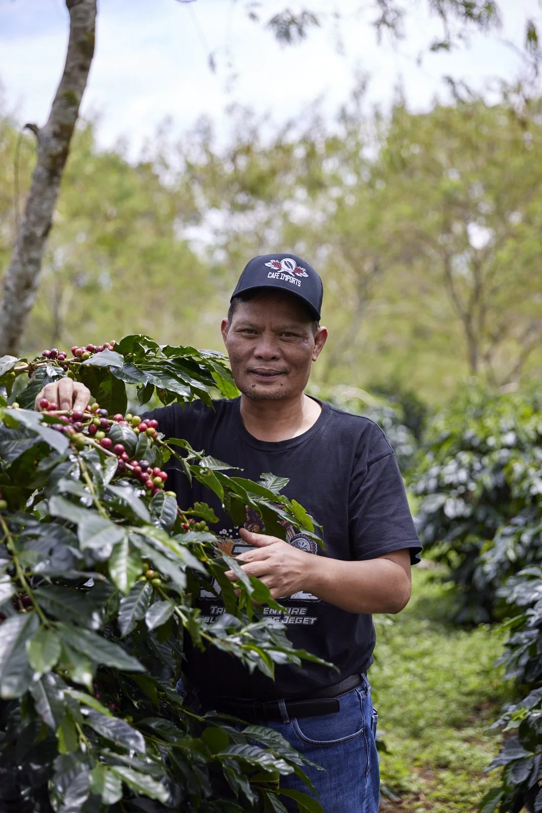 Cafe_Imports_Sumatra_Asman18-2025-10-20-165717.jpg
