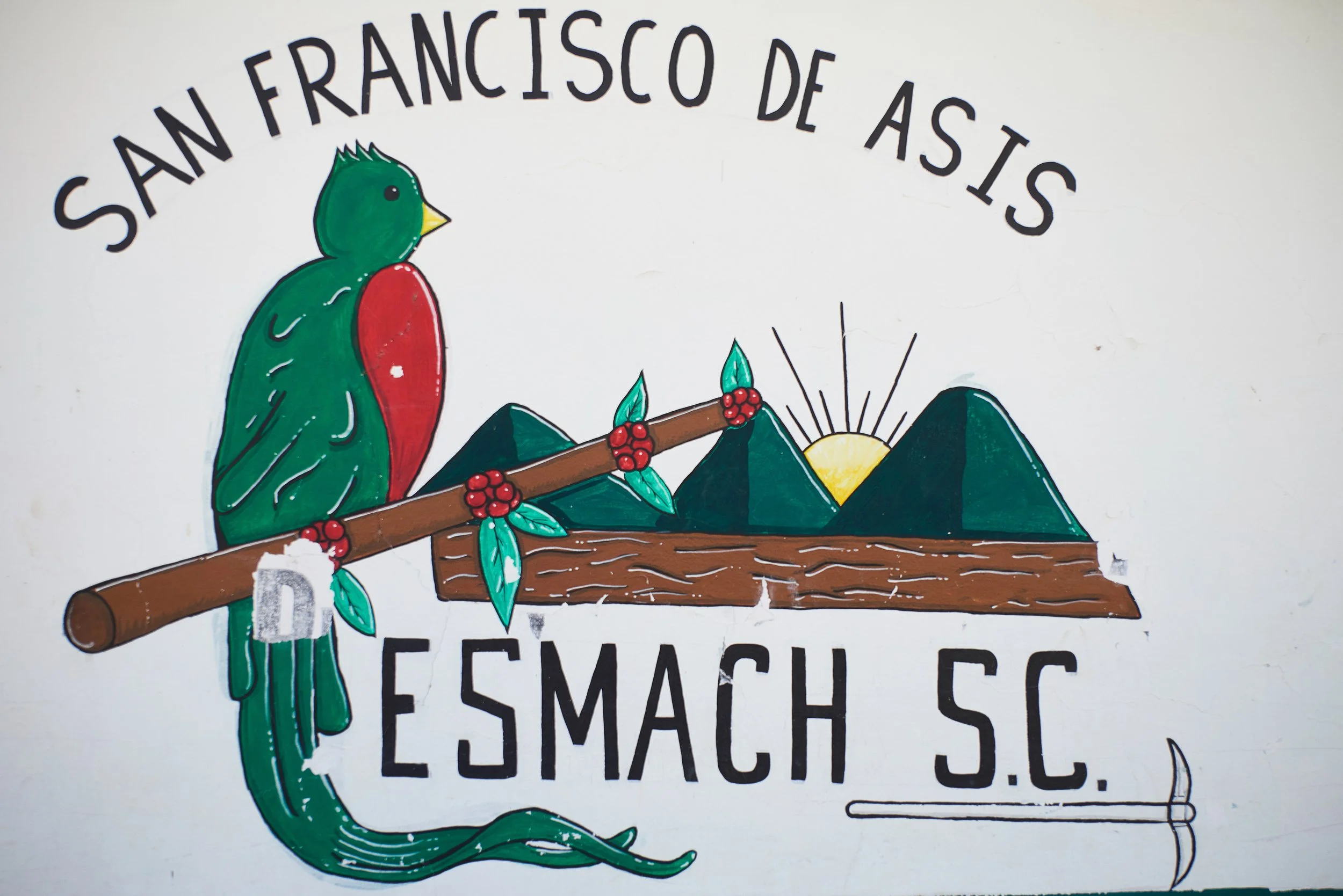 Cafe_Imports_Mexico_CESMACH-10-2021-12-08-191408.jpg