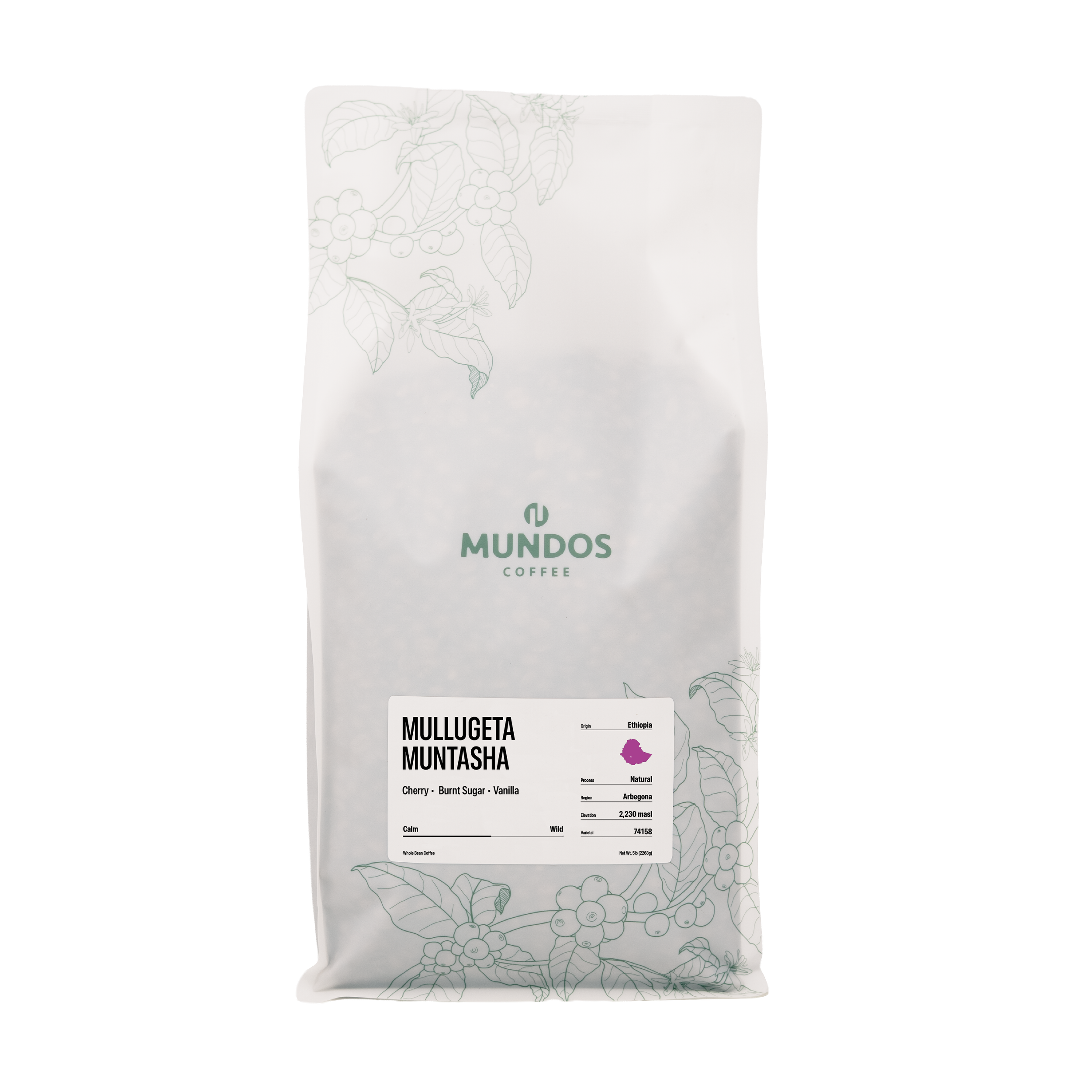 Ethiopia Mullugeta Muntasha.png