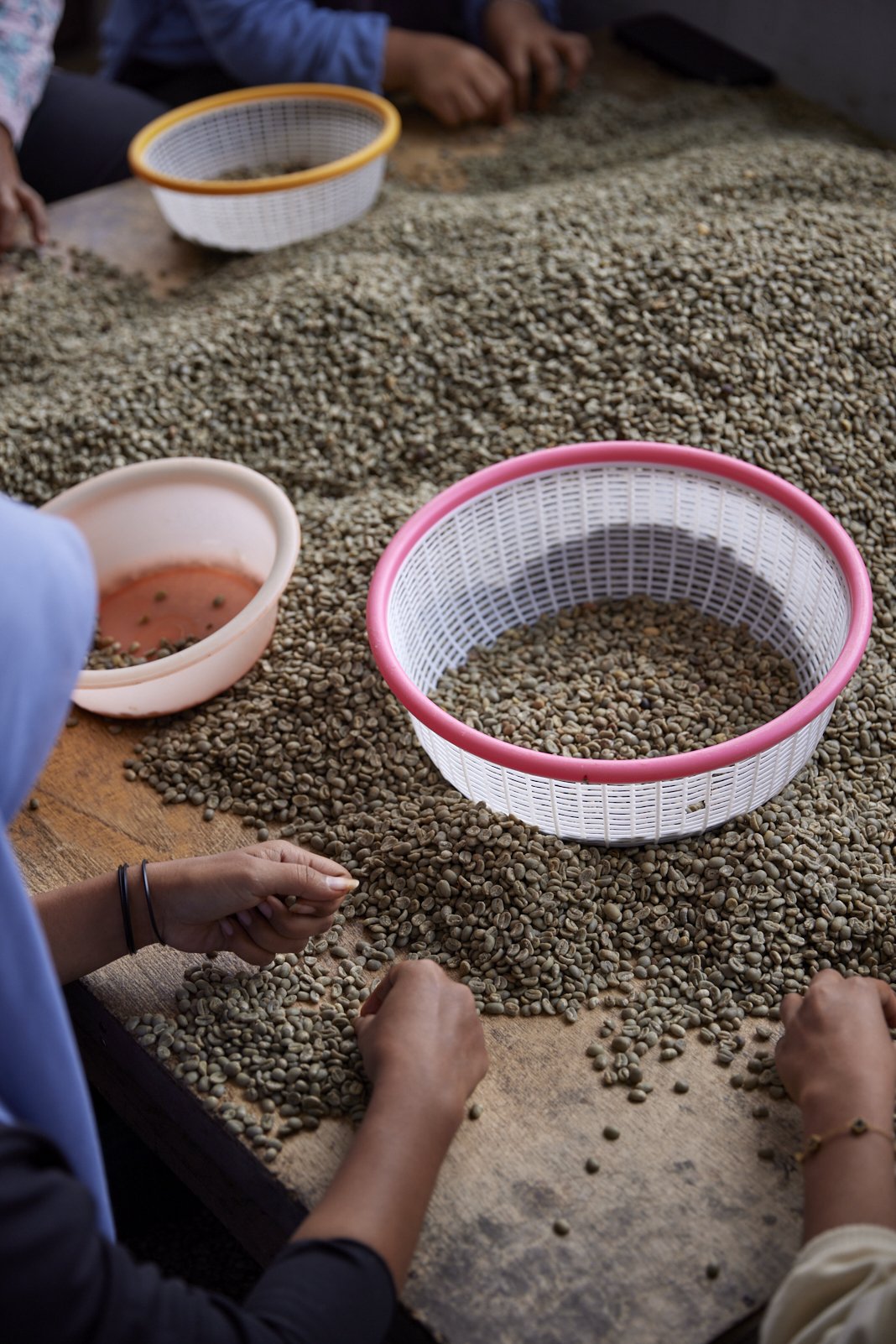 Cafe_Imports_Sumatra_Asman6-2025-10-20-165719.jpg