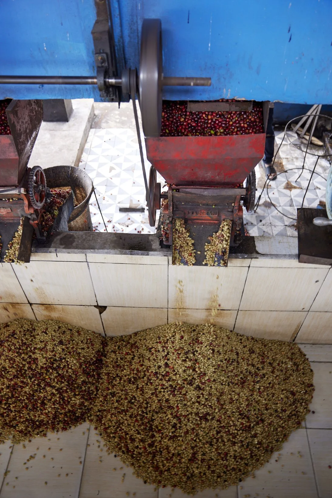 Cafe_Imports_Sumatra_Asman10-2025-10-20-165723.jpg