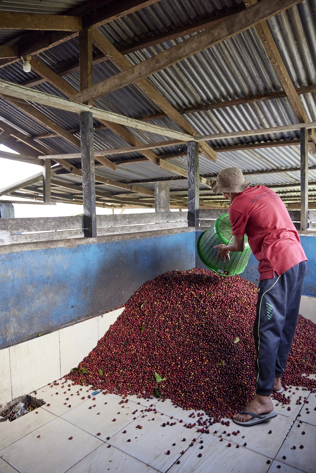 Cafe_Imports_Sumatra_Asman3-2025-10-20-165723.jpg