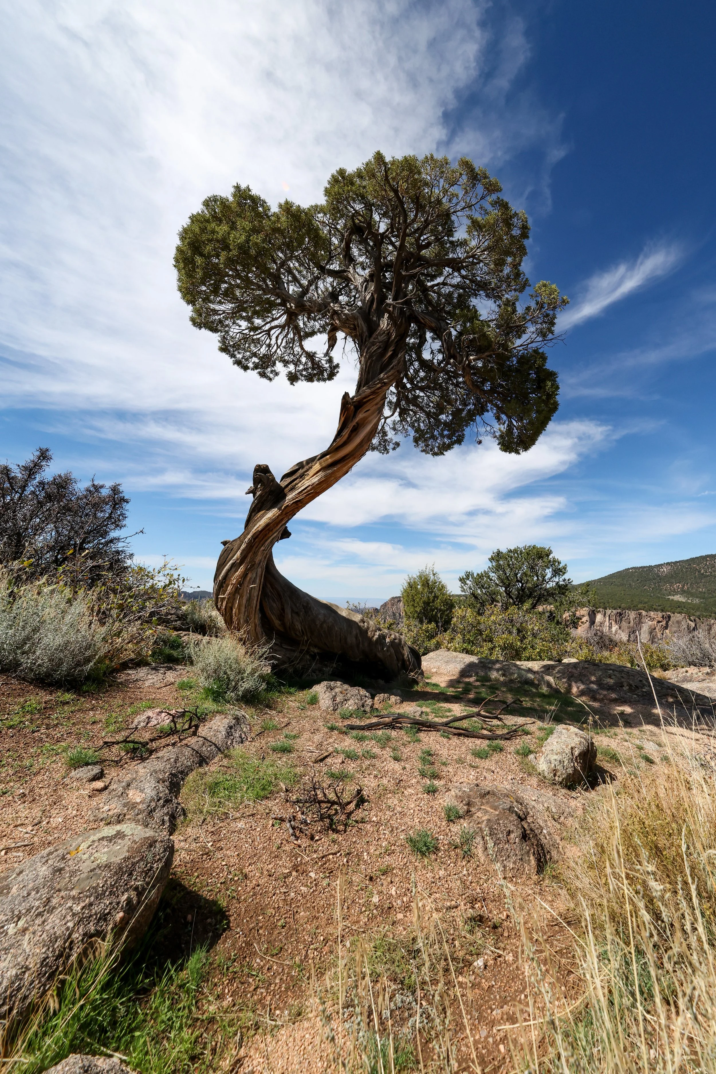 2026 Colorado Black Canyon 001.jpg